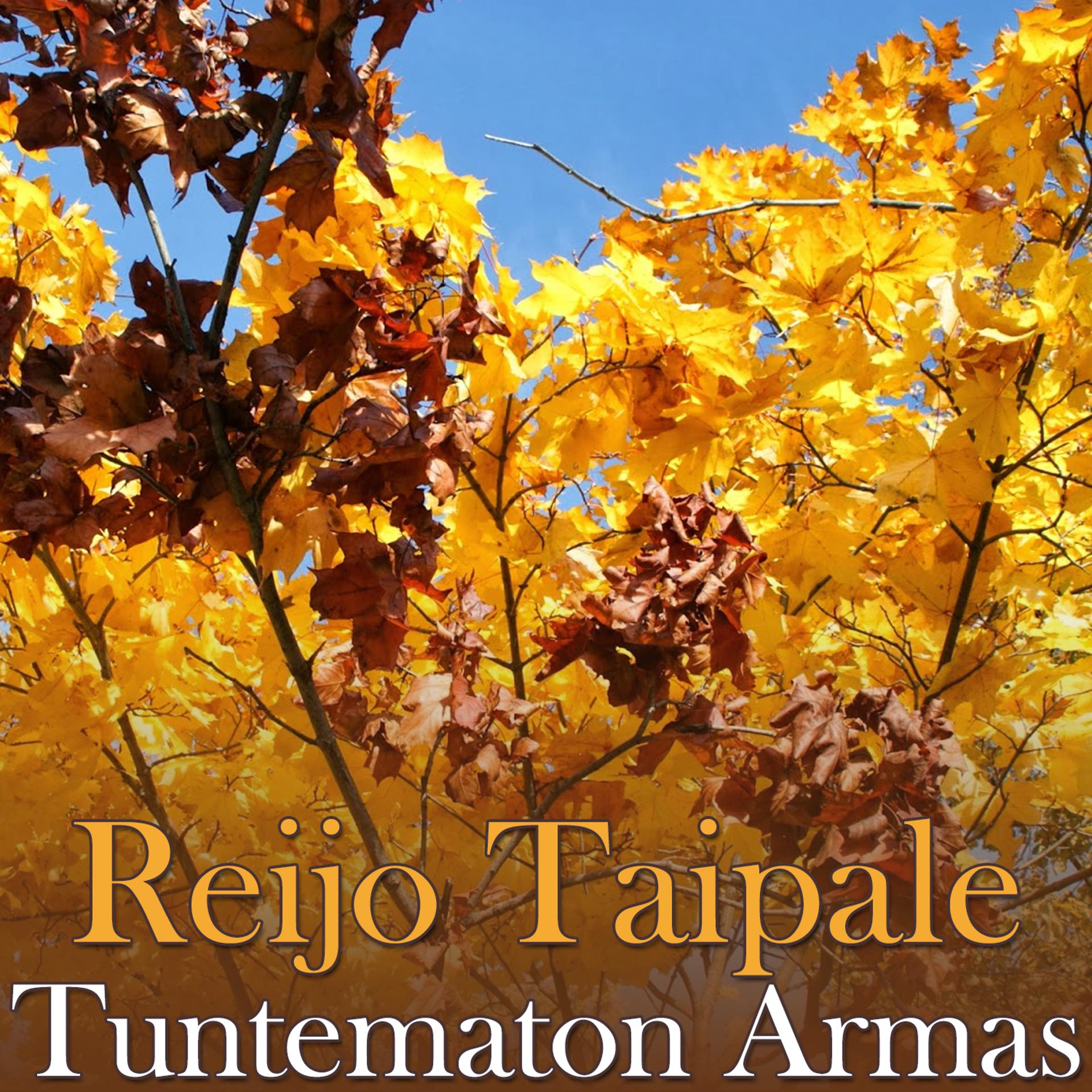 Постер альбома Tuntematon Armas