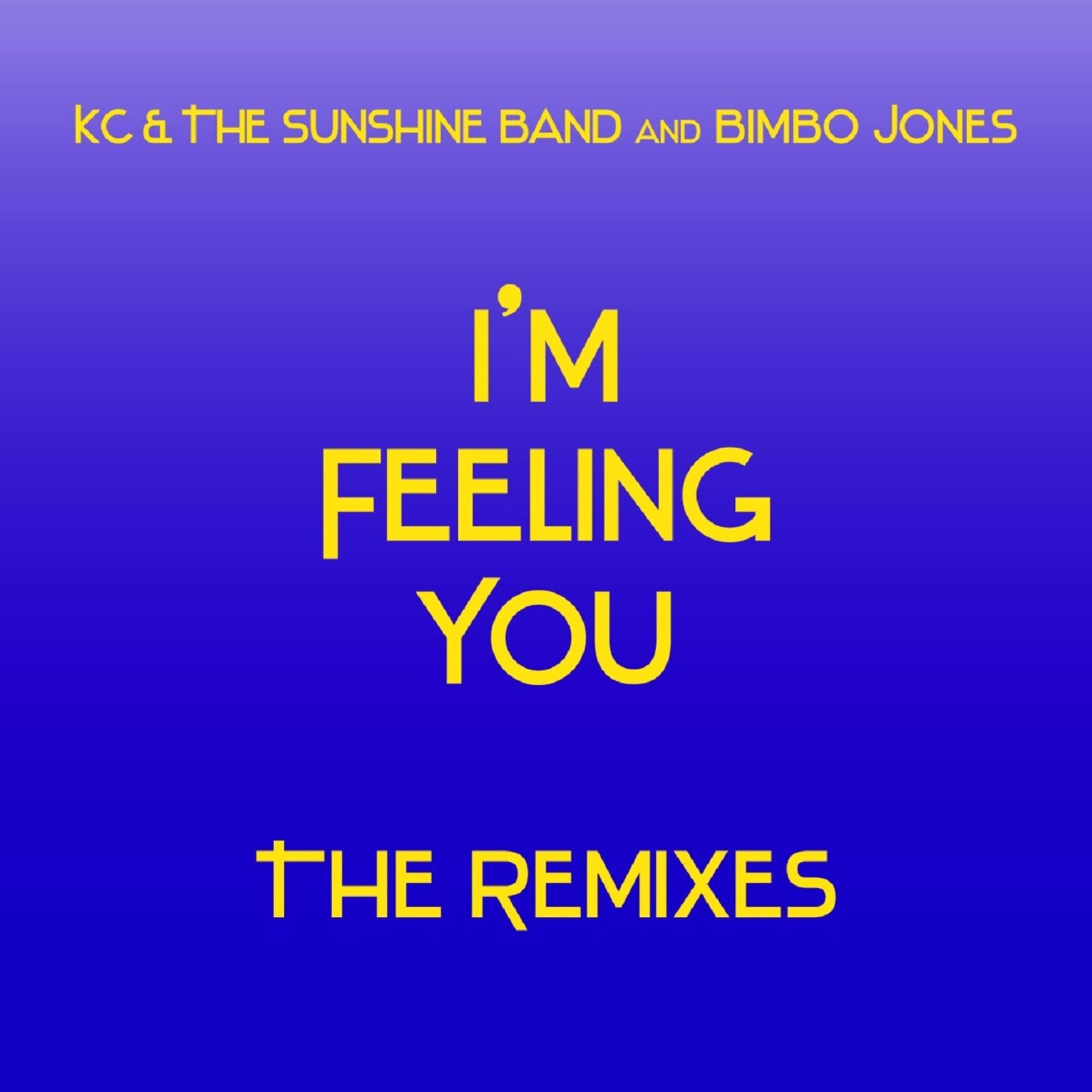 Постер альбома I'm Feeling You - The Remixes