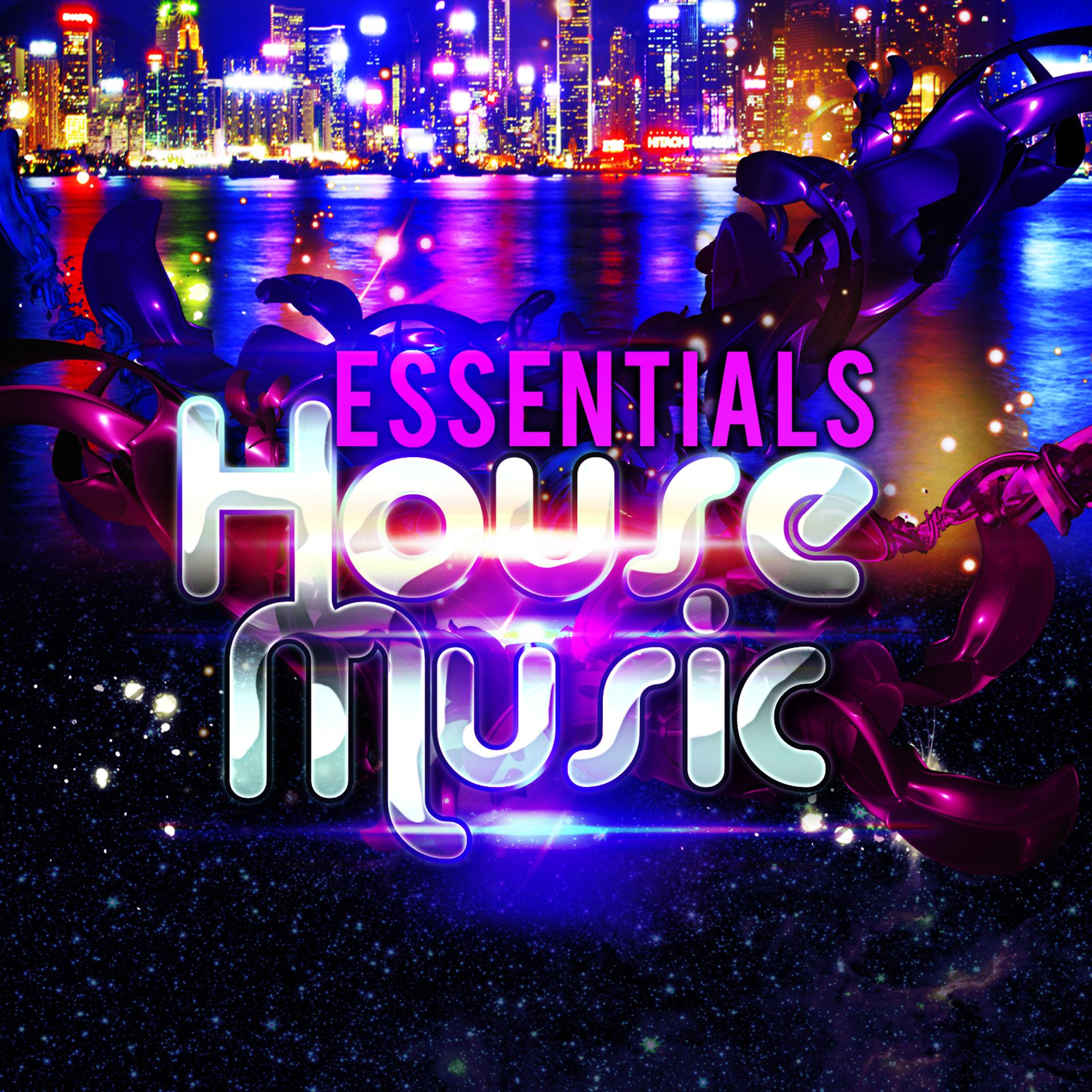 Постер альбома Essentials: House Music