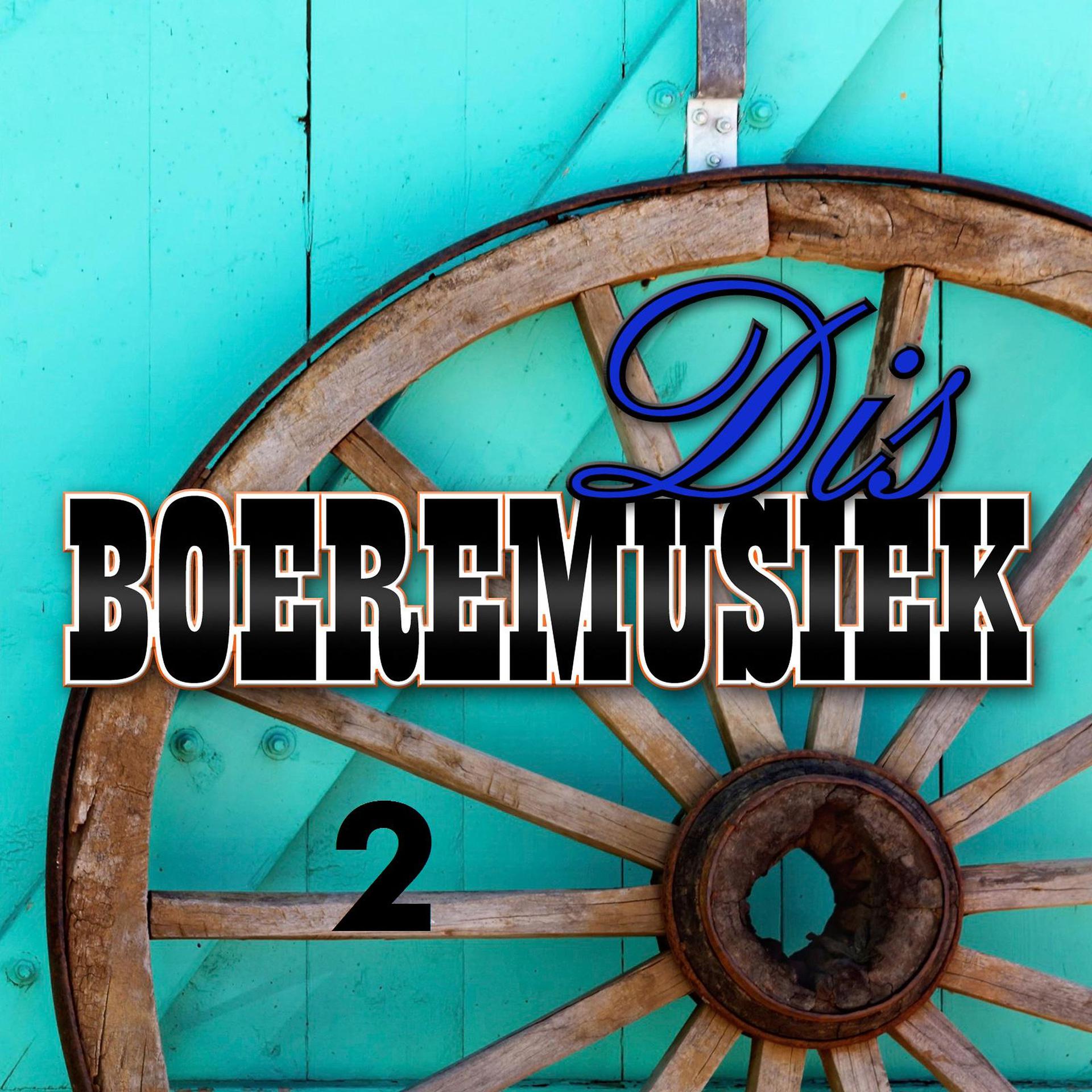 Постер альбома Dis Boeremusiek 2