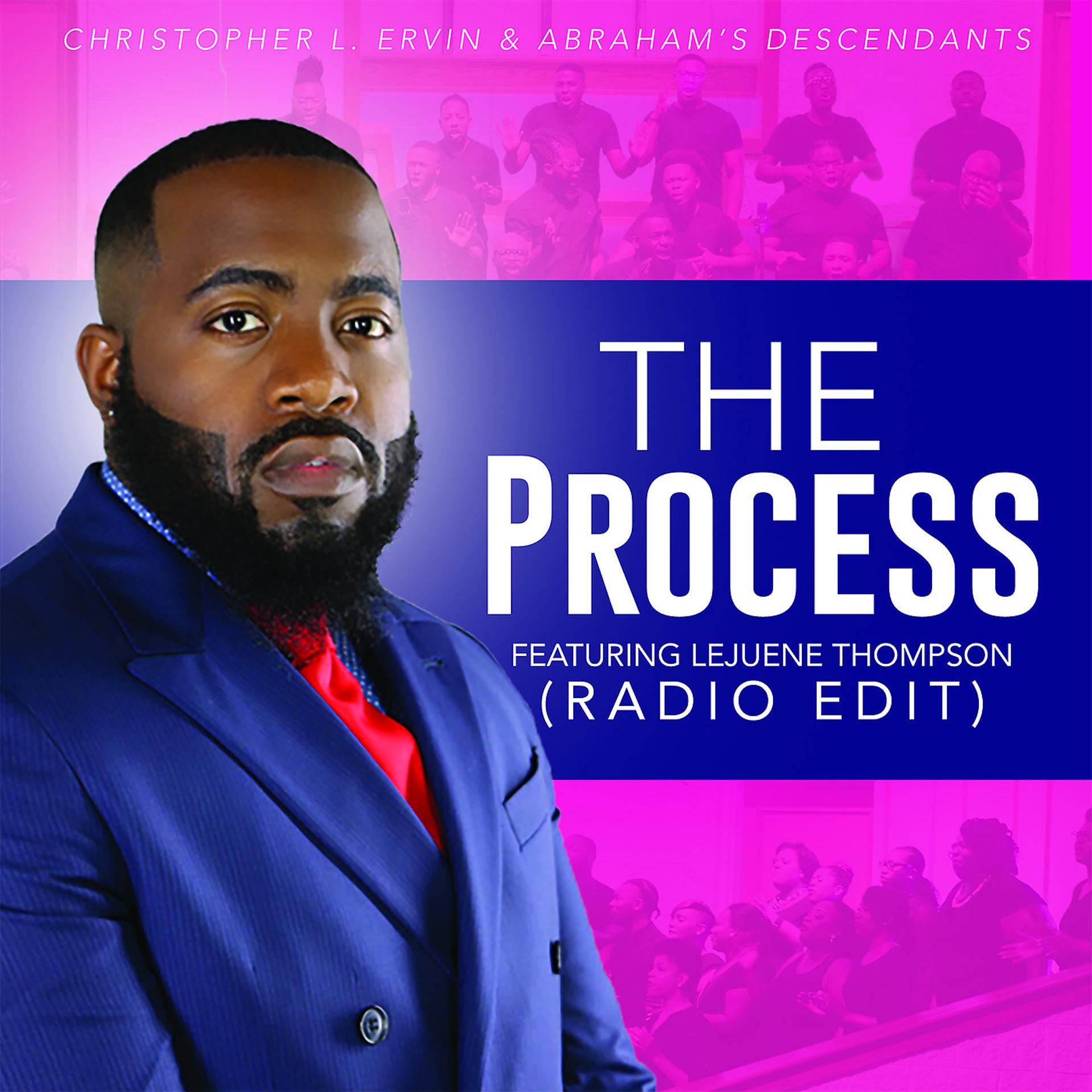 Постер альбома The Process (Radio Edit)