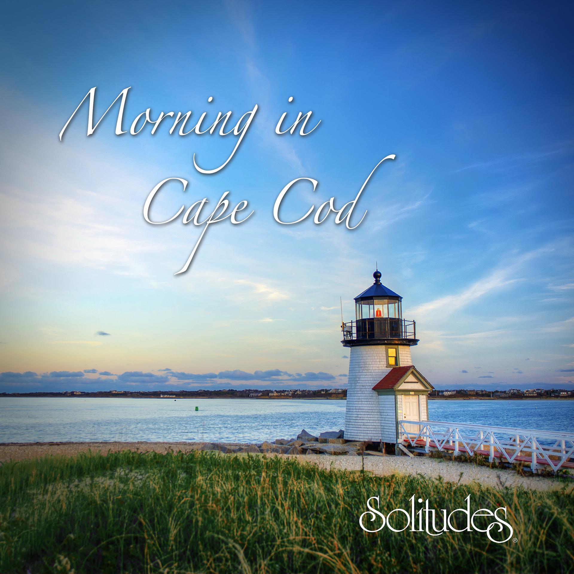 Постер альбома Morning in Cape Cod