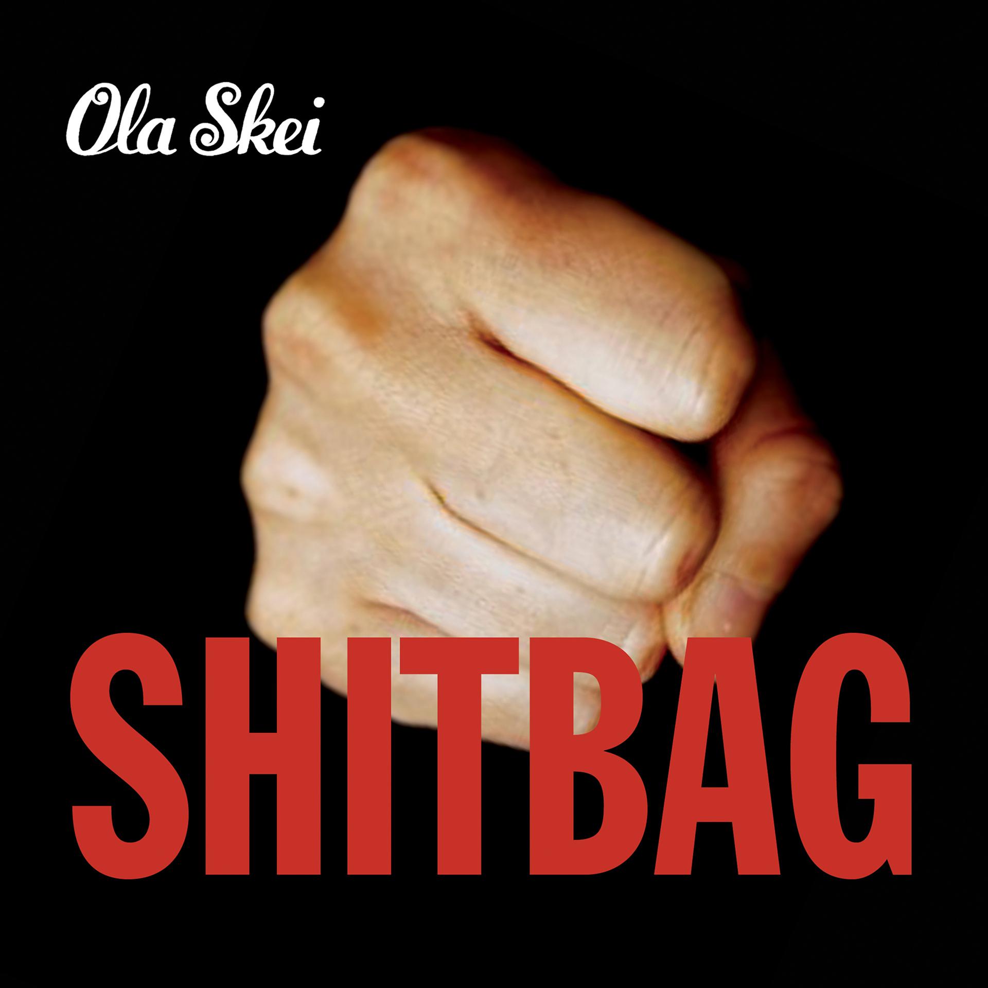Постер альбома Shitbag
