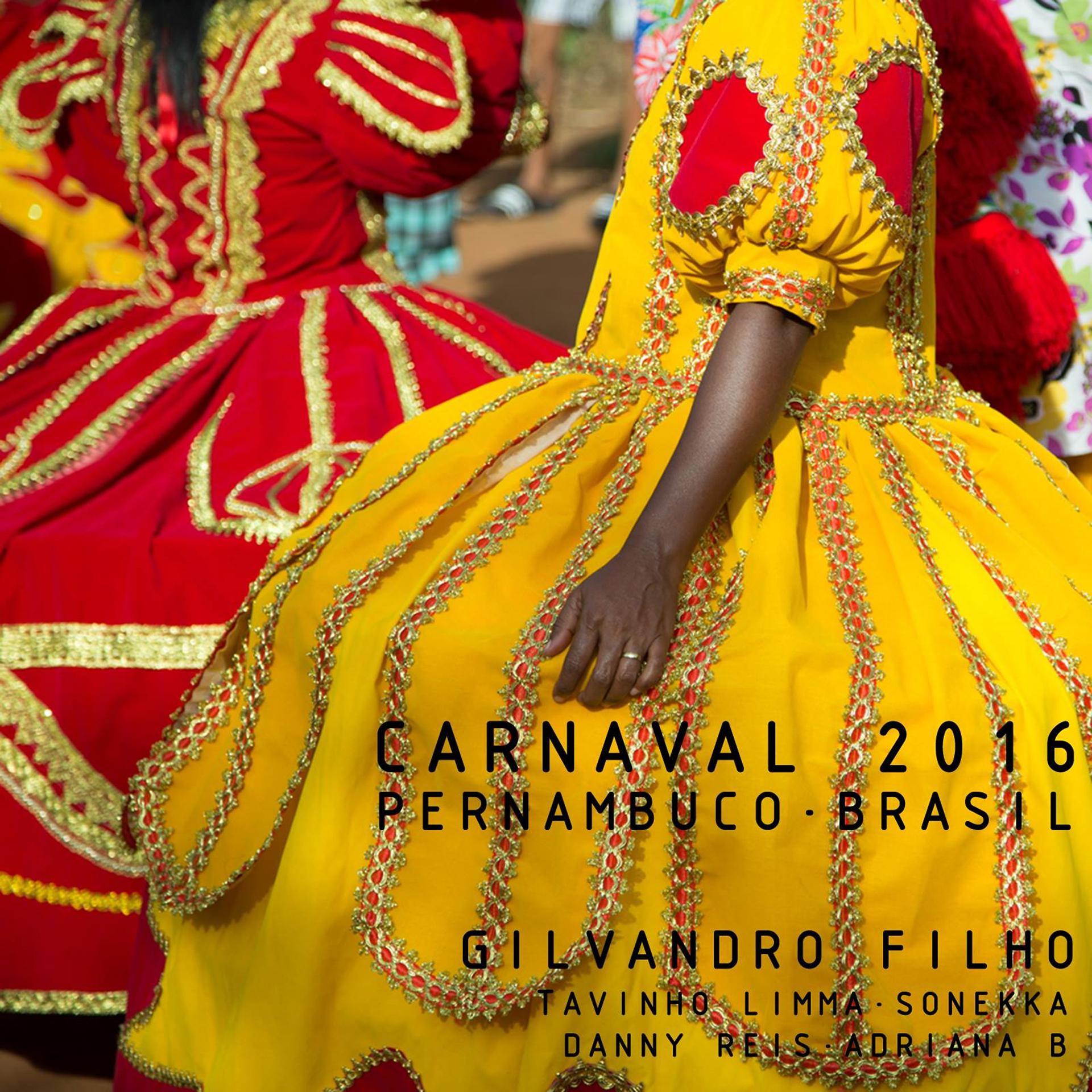 Постер альбома Carnaval Pernambuco Brasil 2016