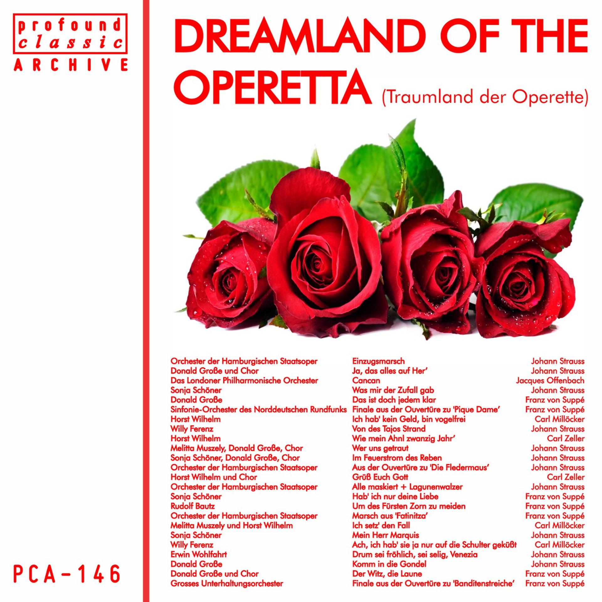 Постер альбома Dreamland of the Operette