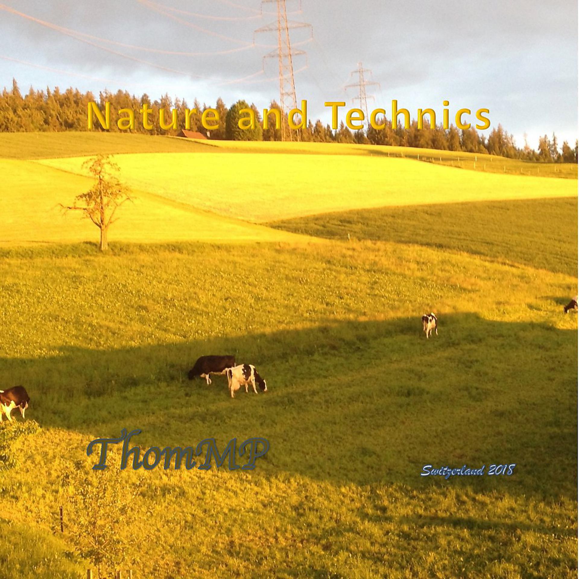 Постер альбома Nature and Technics