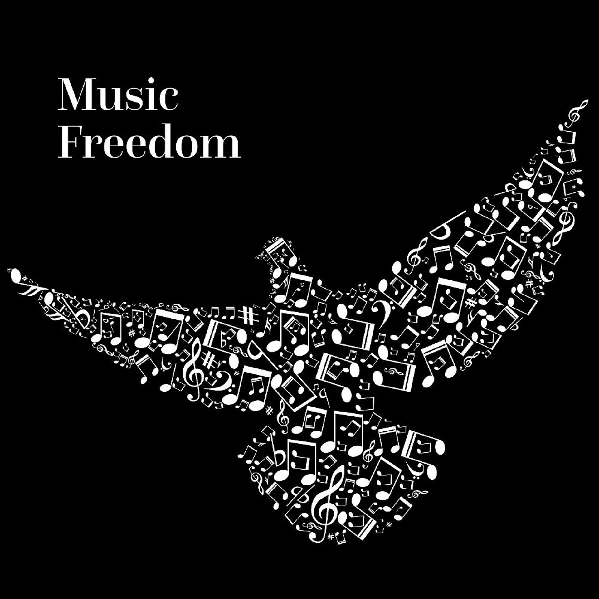 Постер альбома Music Freedom