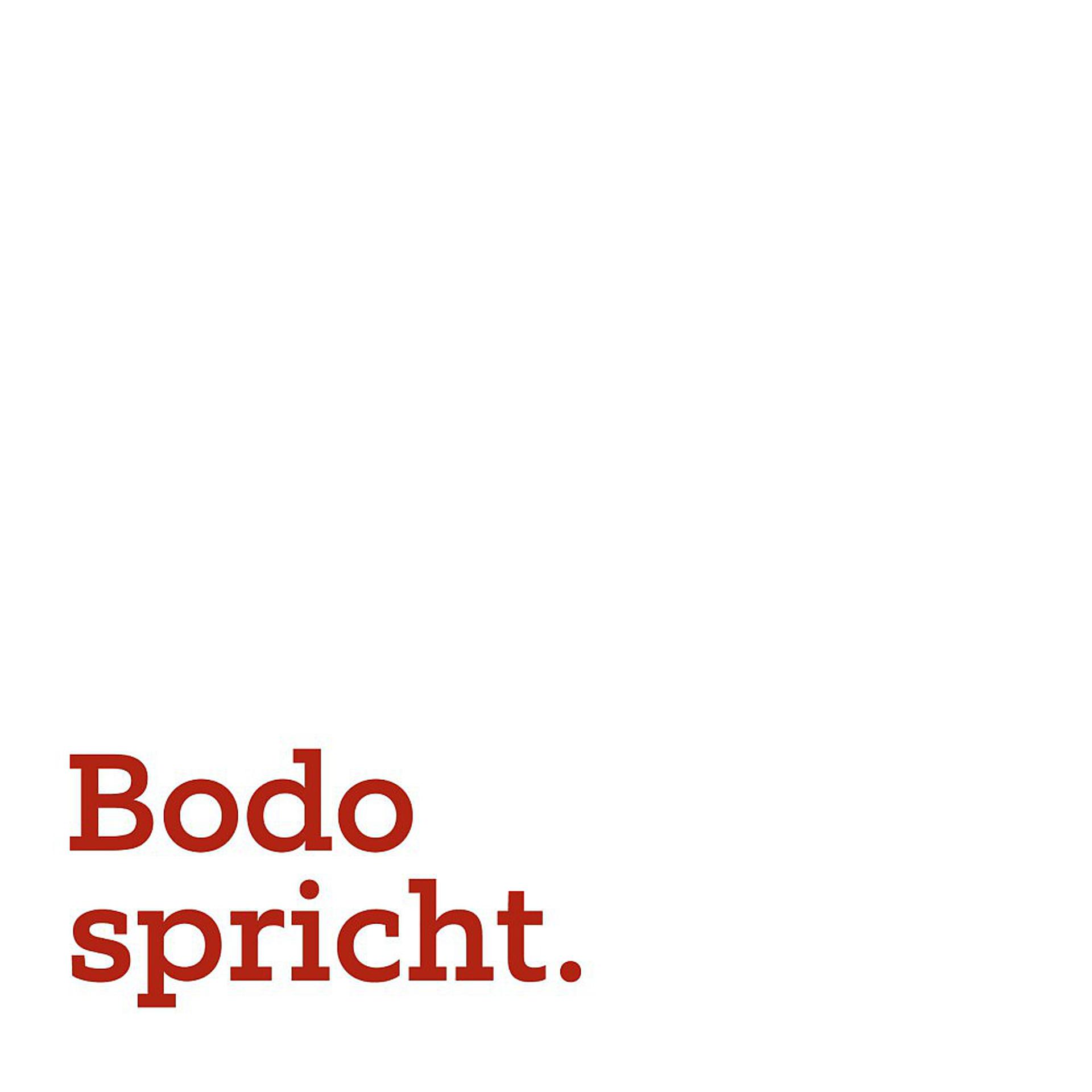 Постер альбома Bodo Spricht