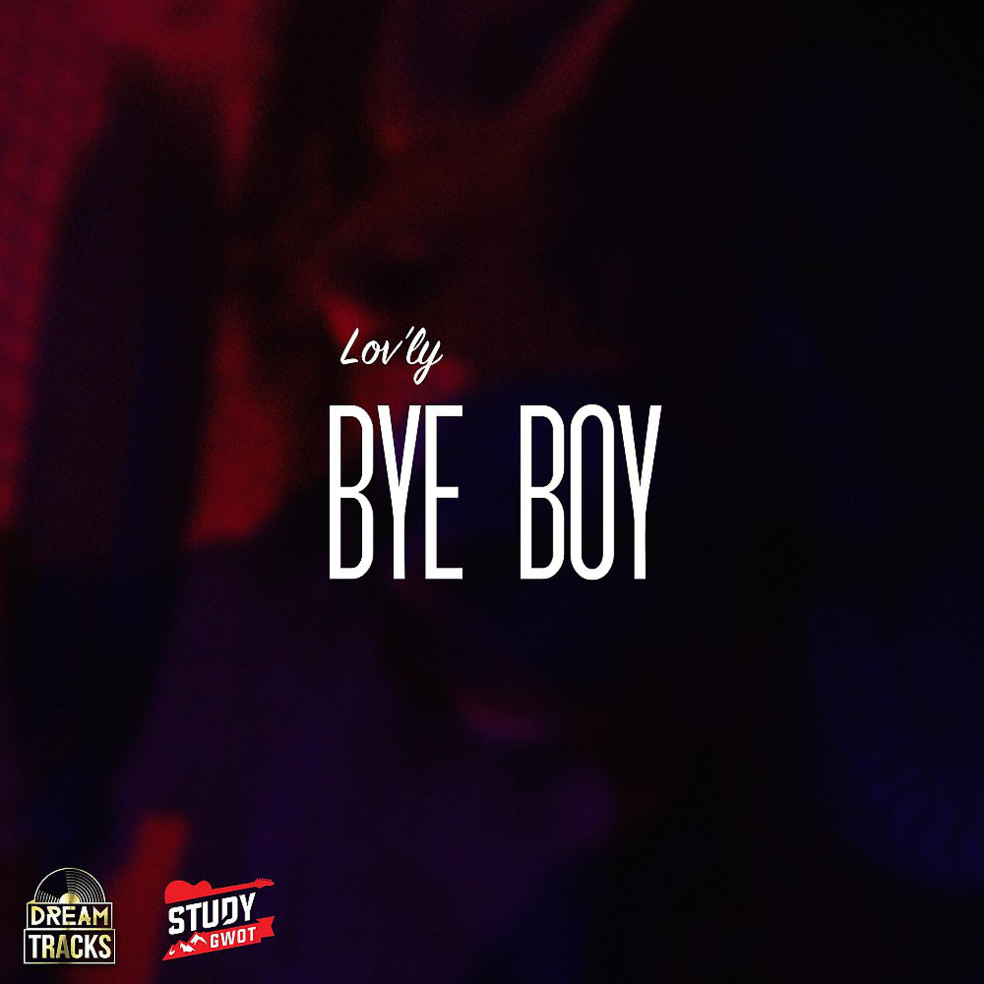 Постер альбома Bye Boy