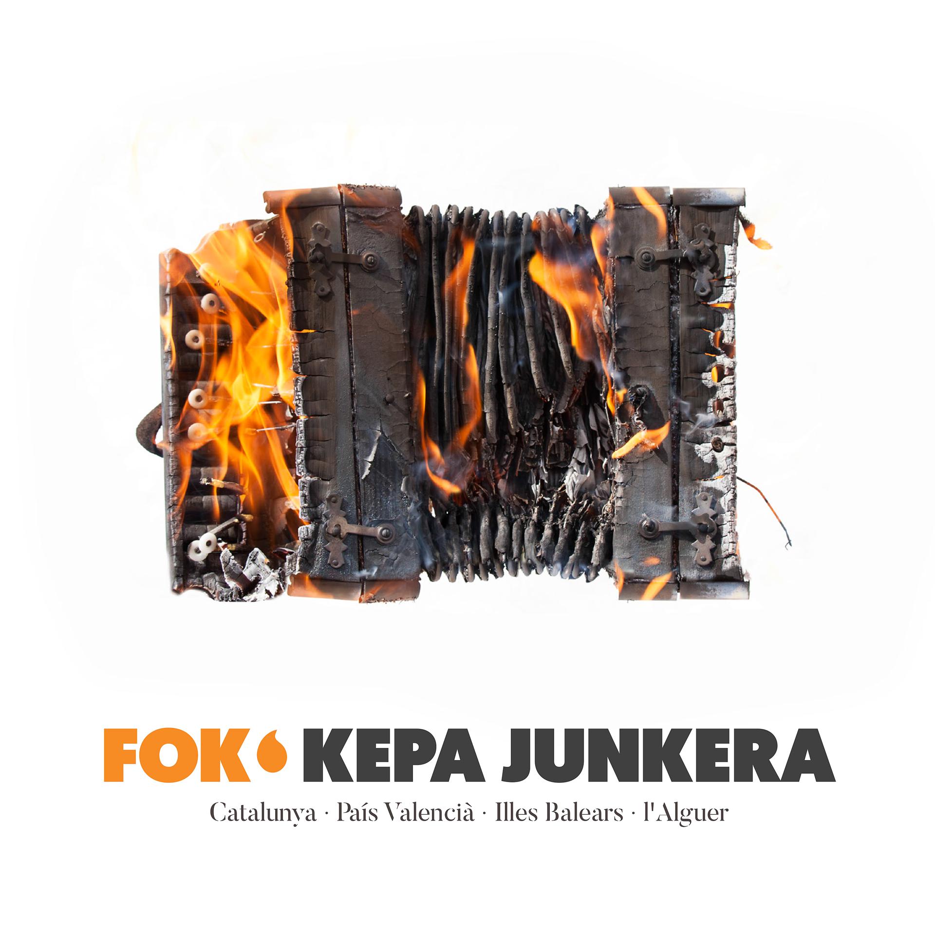 Постер альбома Fok