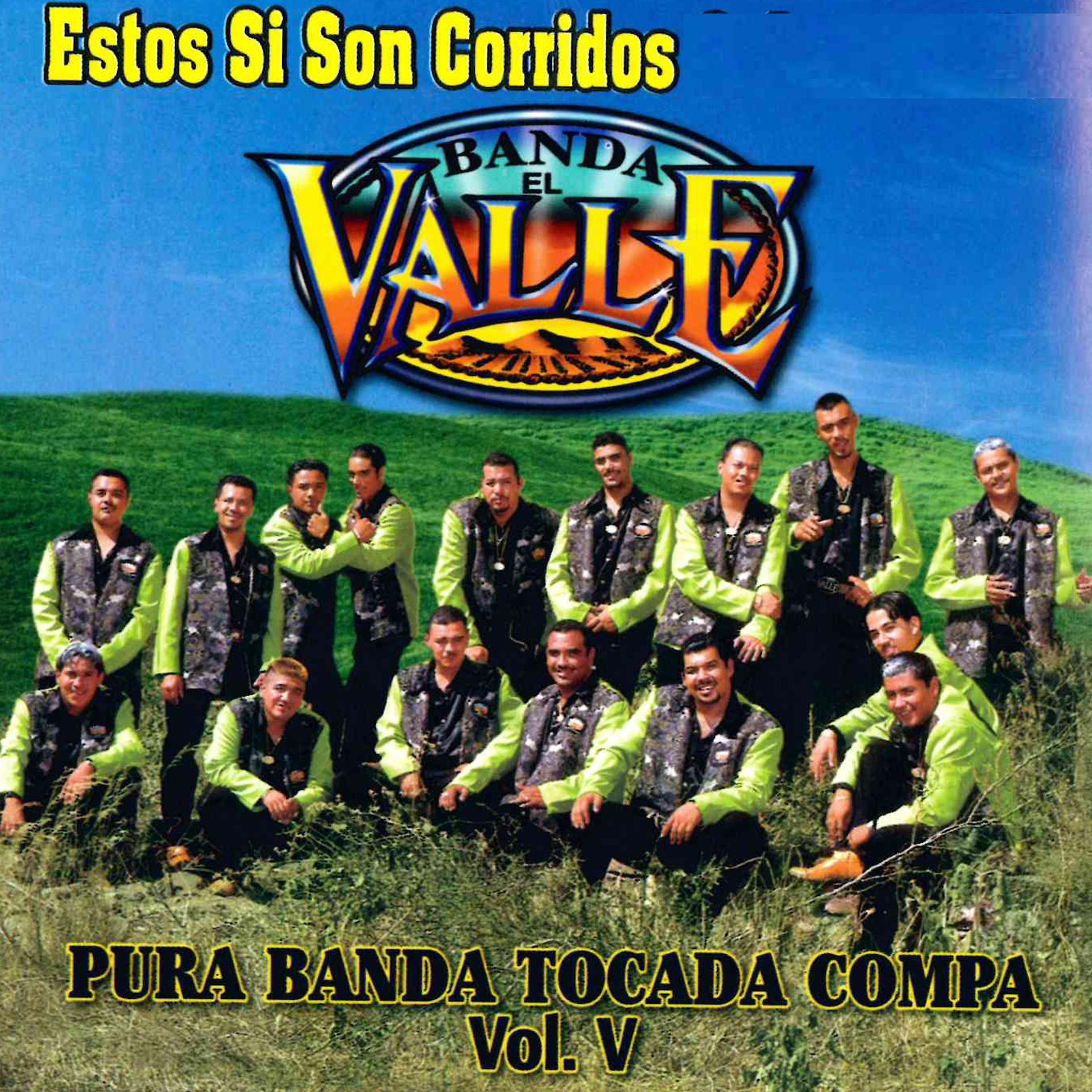 Постер альбома Estos Si Son Corridos "Pura Banda Tocada Compa," Vol. 5