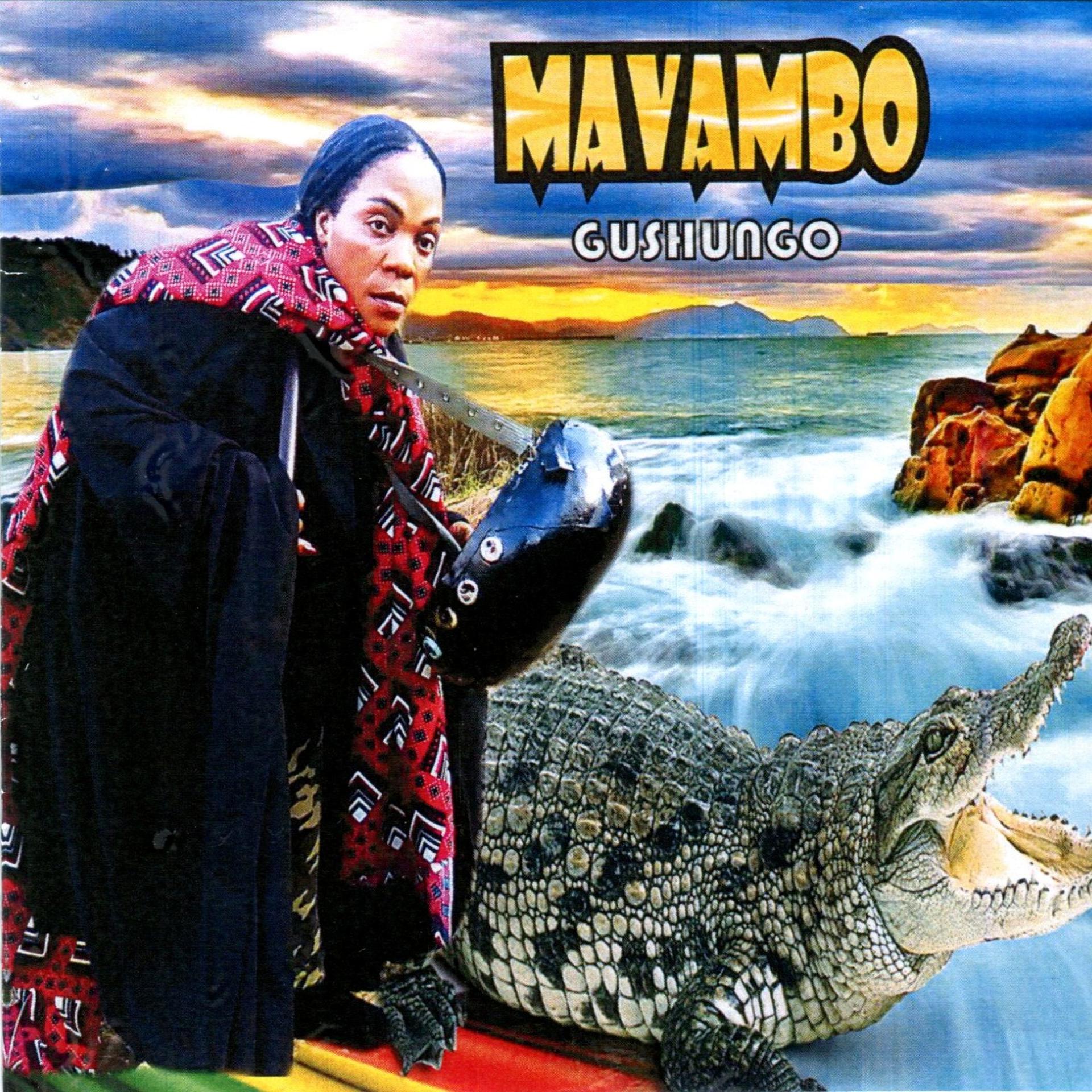 Постер альбома Mavambo Gushungo