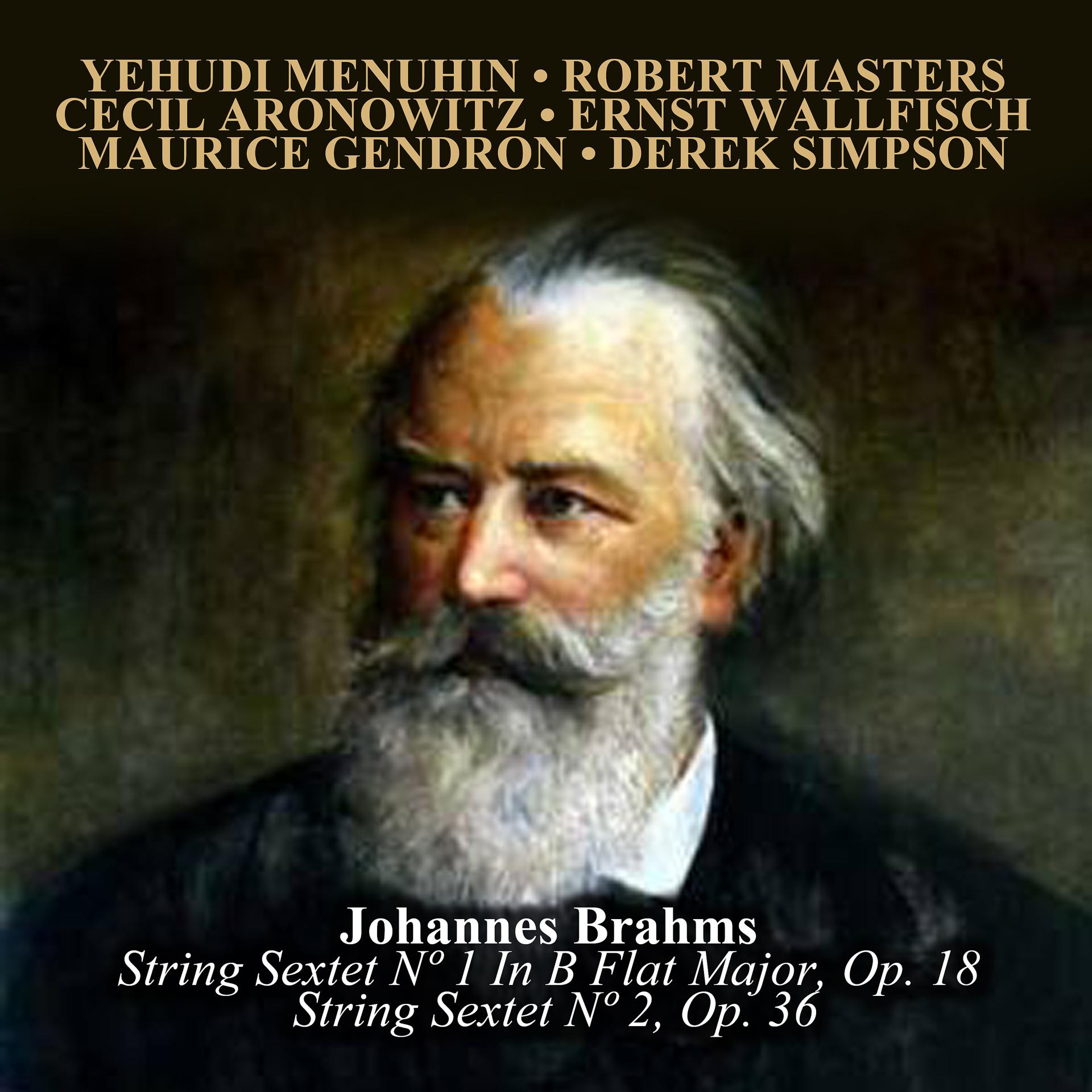 Постер альбома Johannes Brahms: String Sextet Nº 1 In B Flat Major, Op. 18 / String Sextet Nº 2, Op. 36