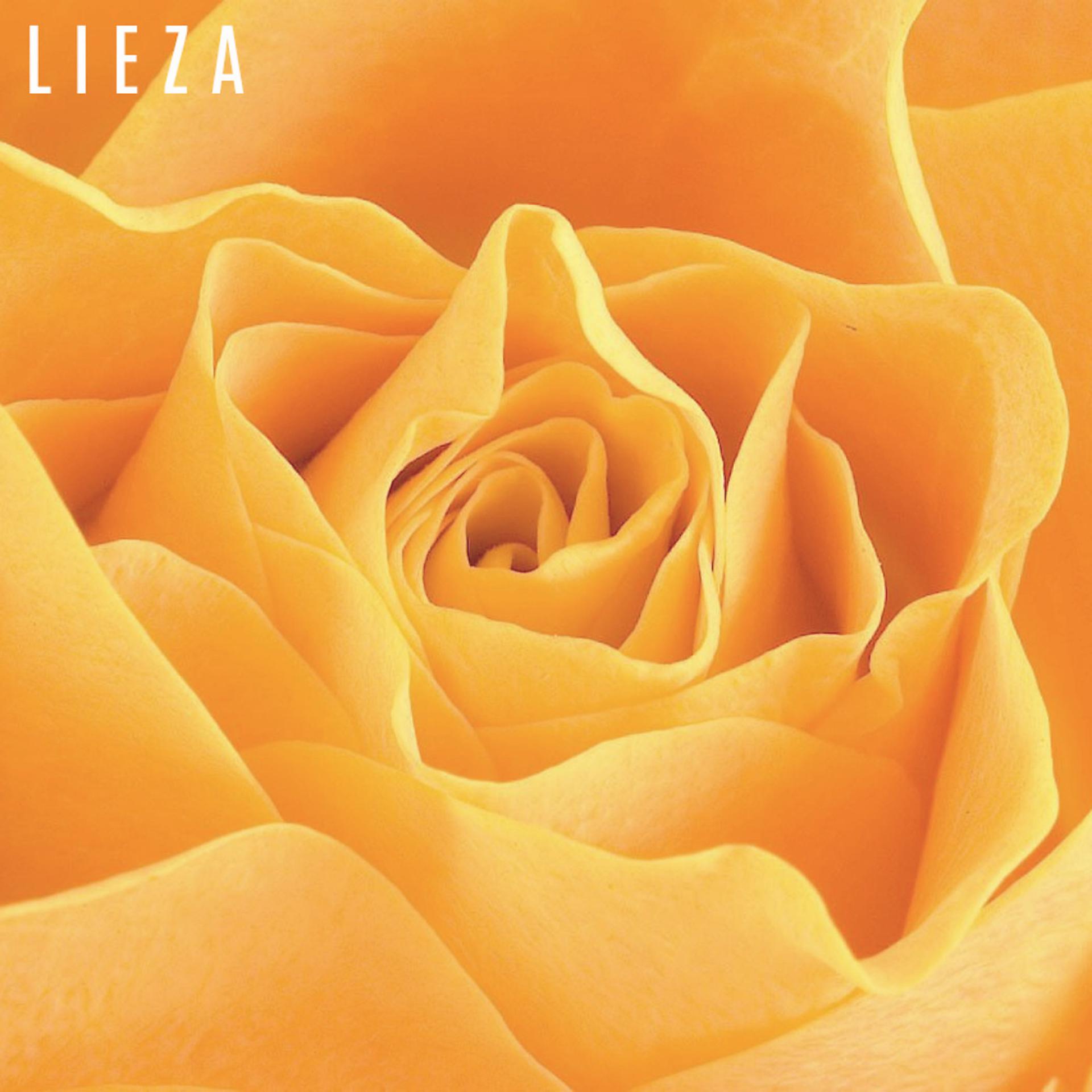 Постер альбома Yellow Roses (Acoustic)
