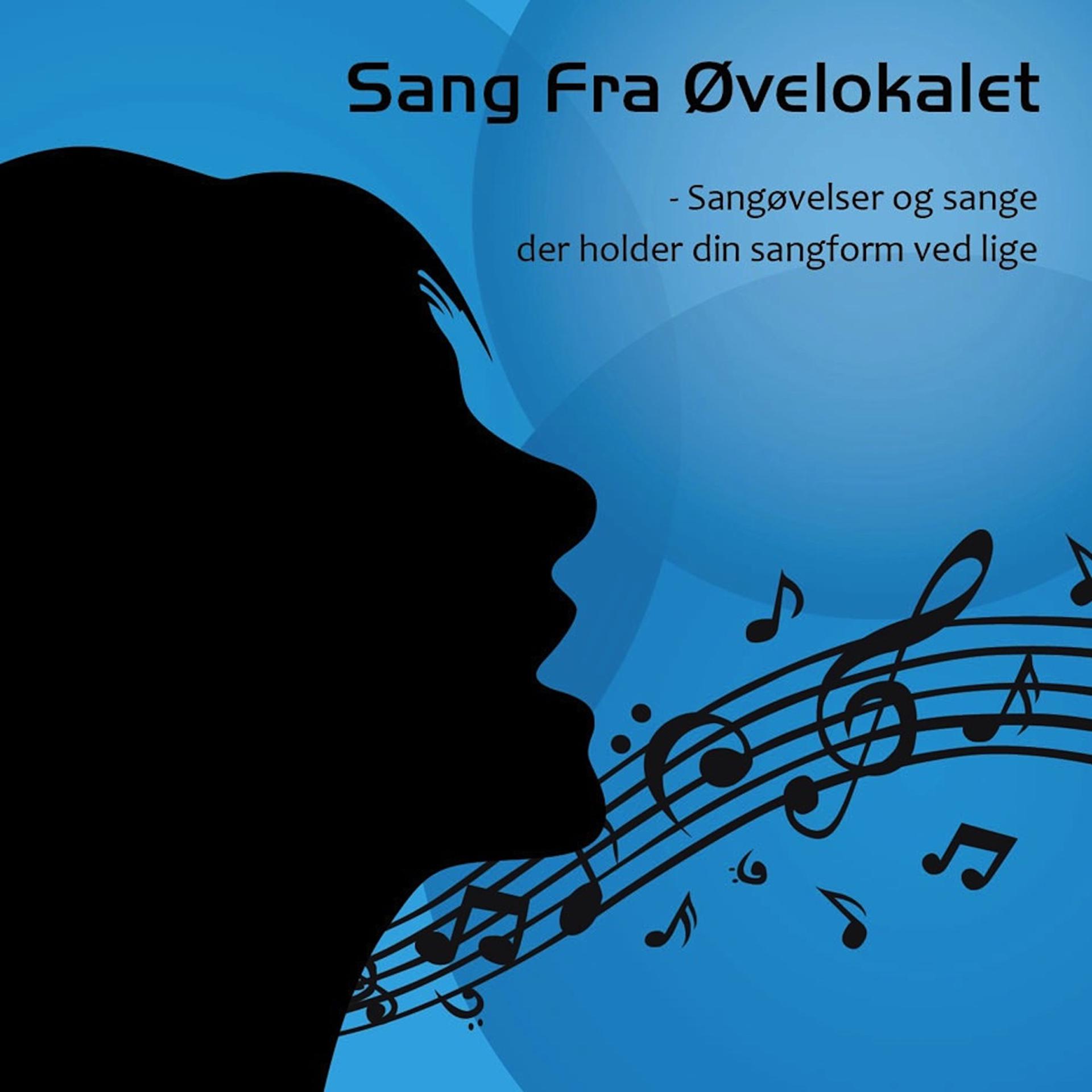 Постер альбома Sang Fra Øvelokalet