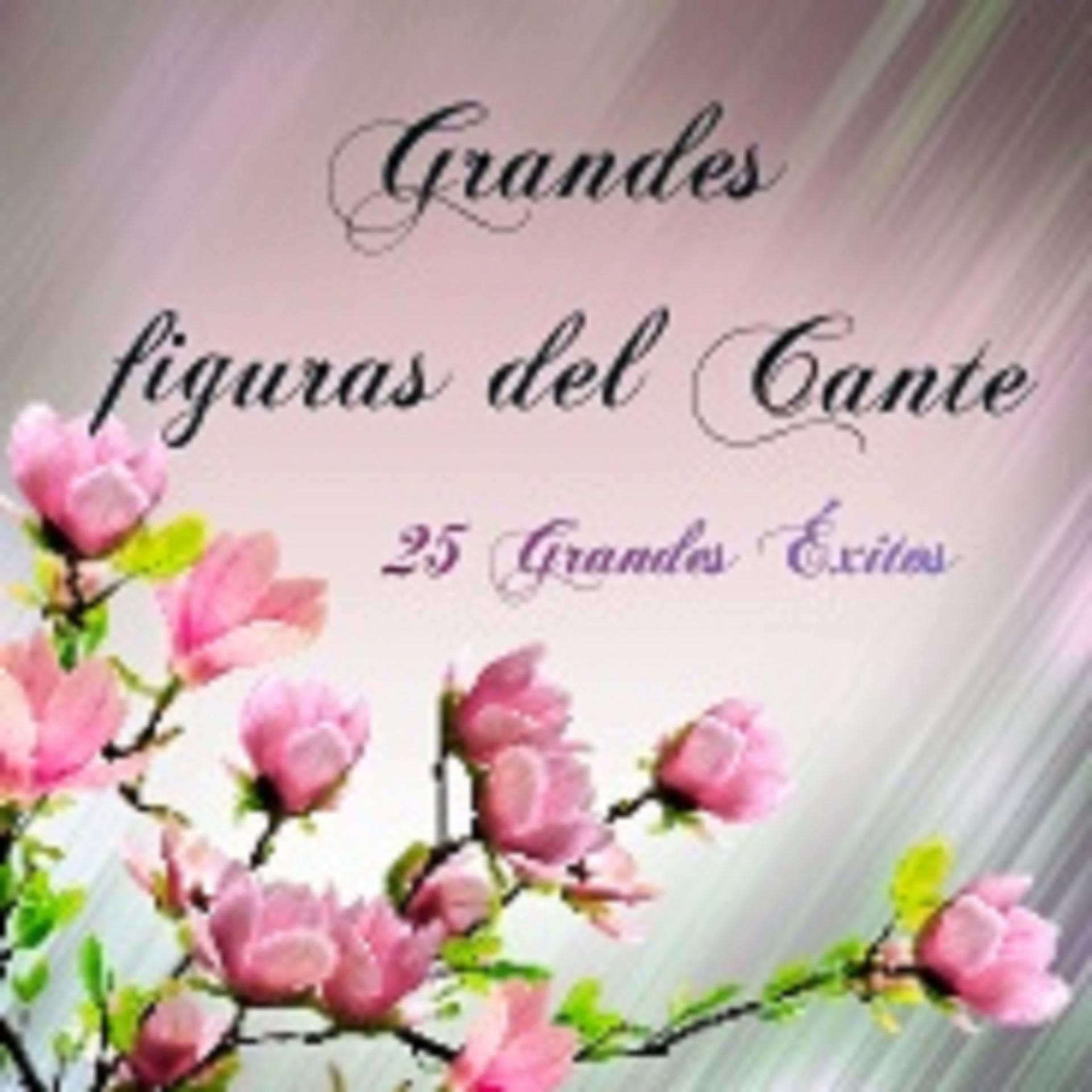 Постер альбома Grandes Figuras del Cante - 25 Grandes Éxitos