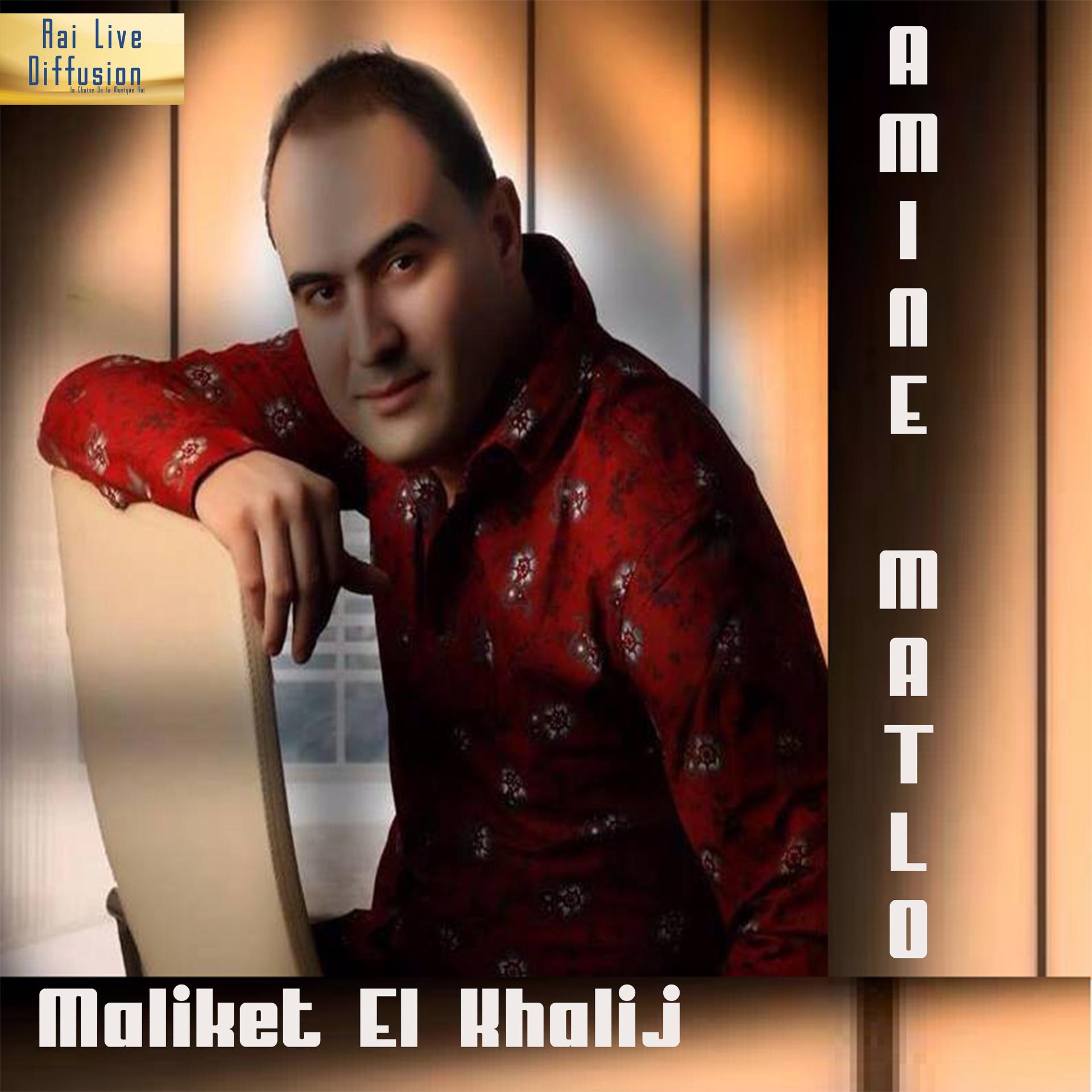 Постер альбома Maliket El Khalij