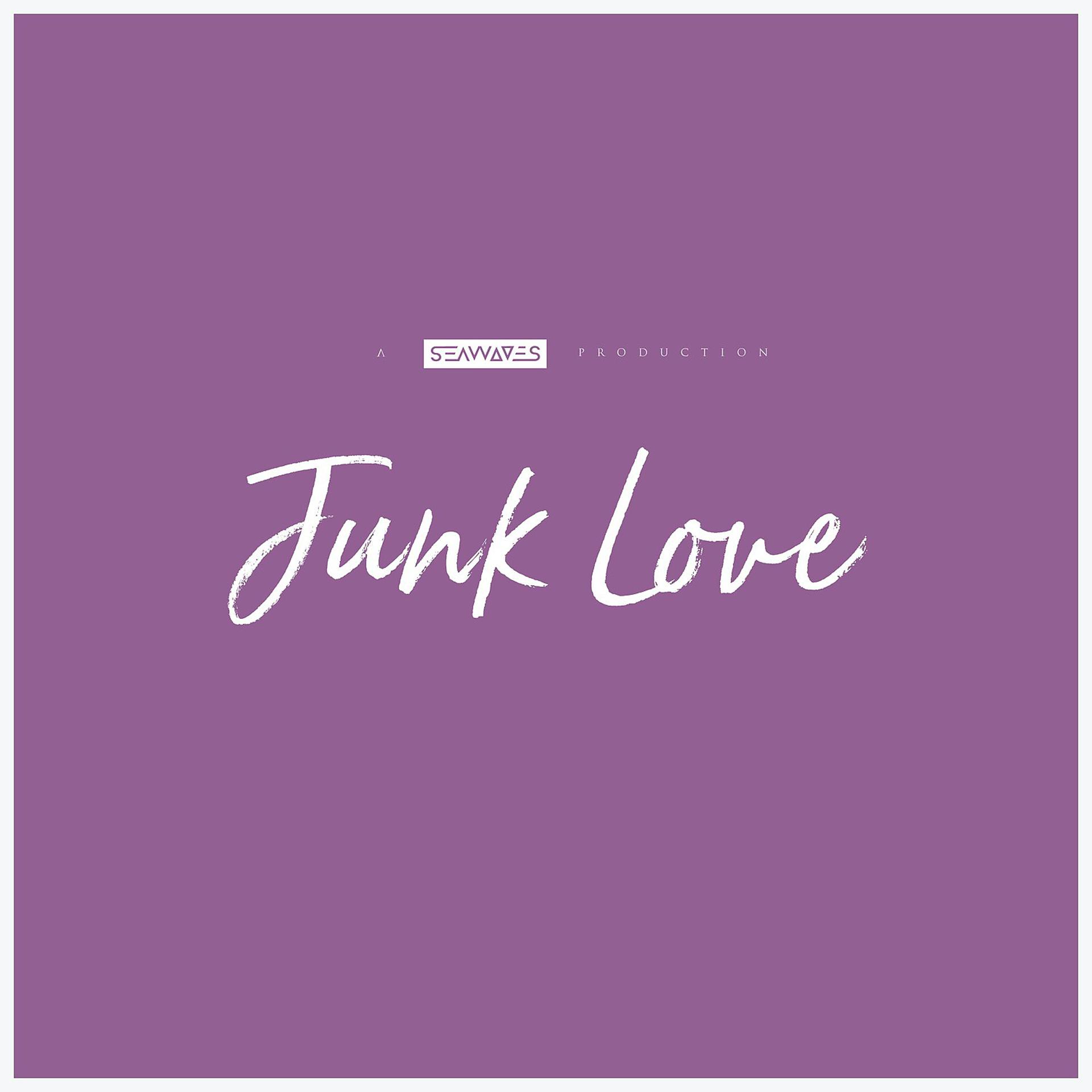 Постер альбома Junk Love