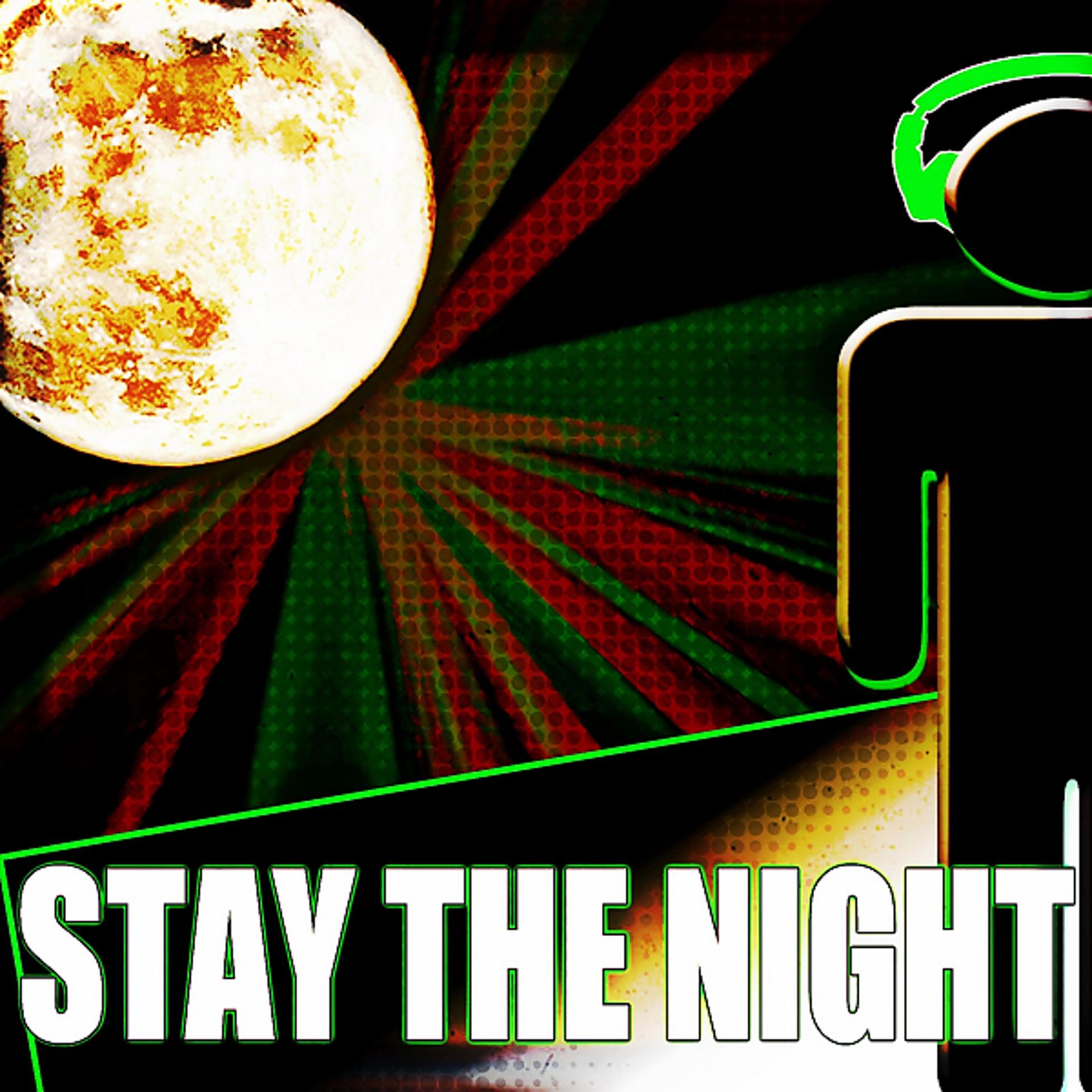 Постер альбома Stay The Night (Unmixed Compilation)