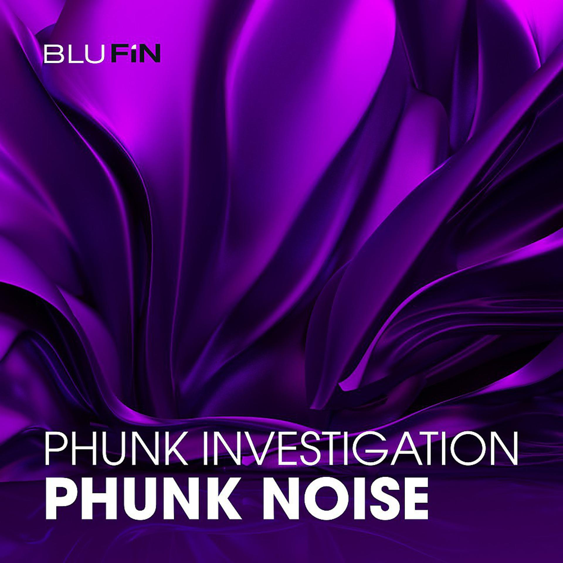 Постер альбома Phunk Noise