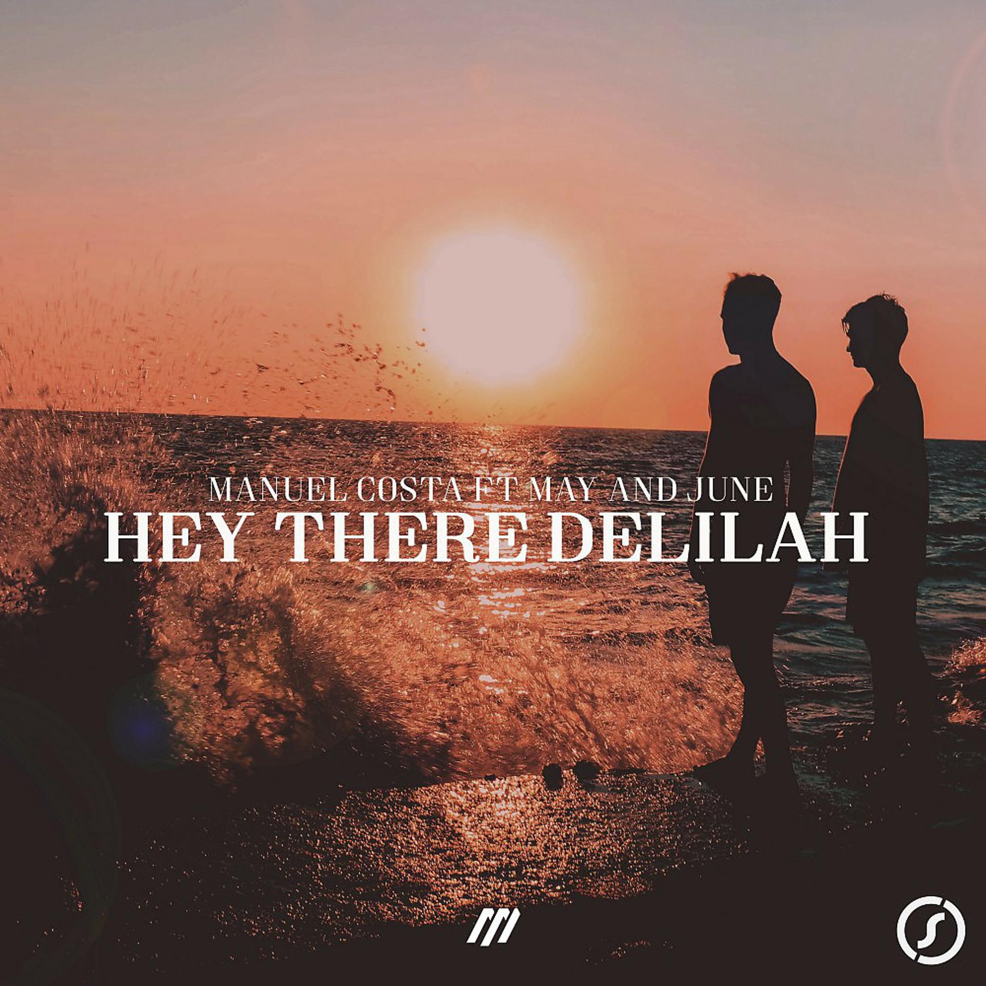 Постер альбома Hey There Delilah
