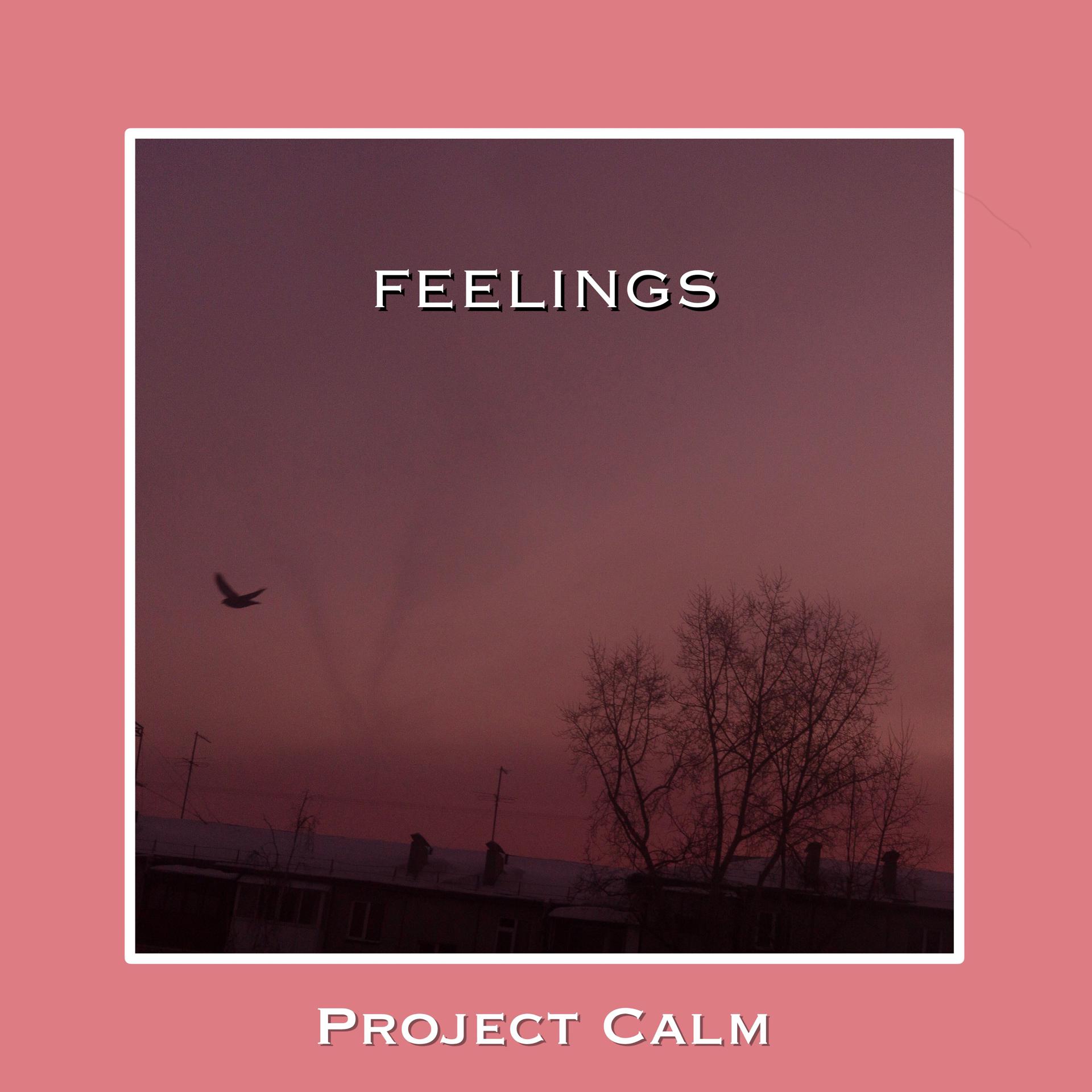 Постер к треку Project Calm - Feelings