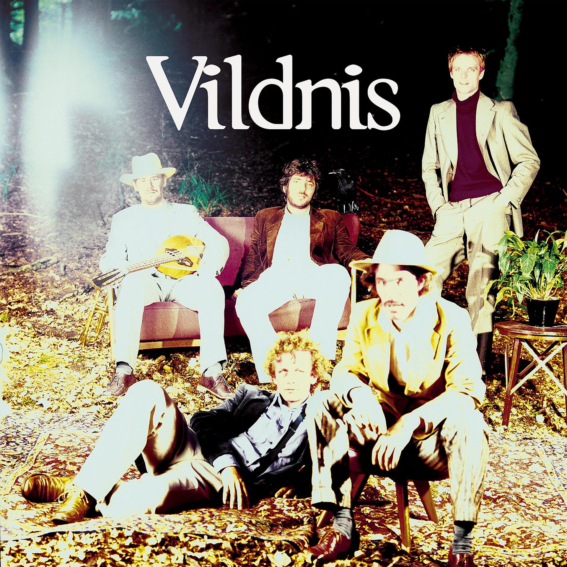 Постер альбома Vildnis