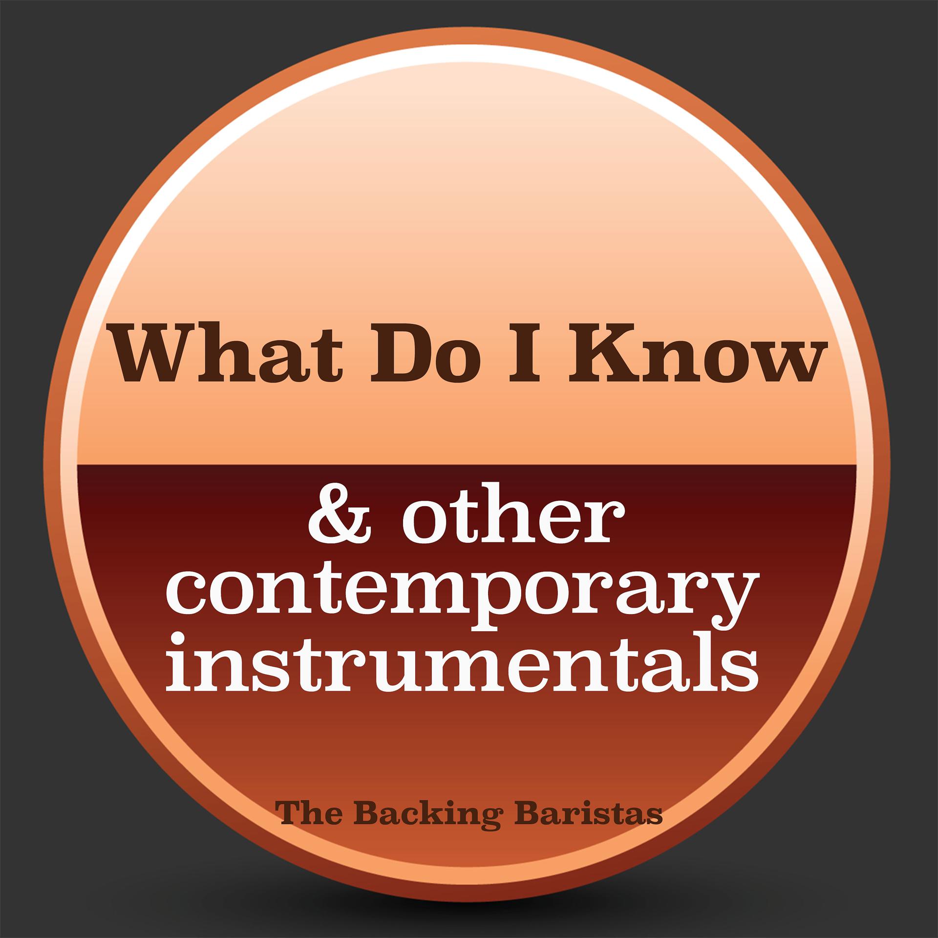 Постер альбома What Do I Know & Other Contemporary Instrumental Versions