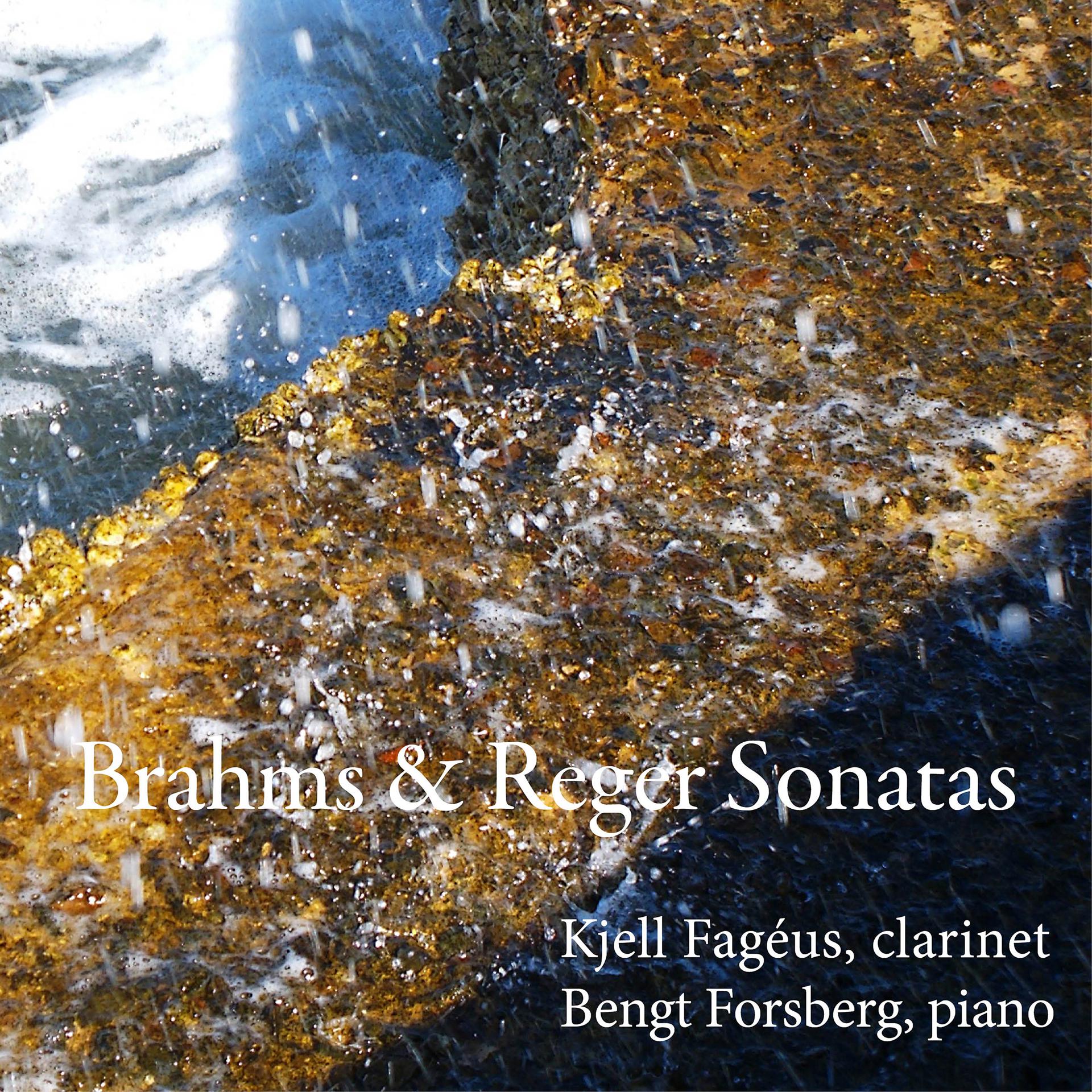 Постер альбома Brahms & Reger Sonatas
