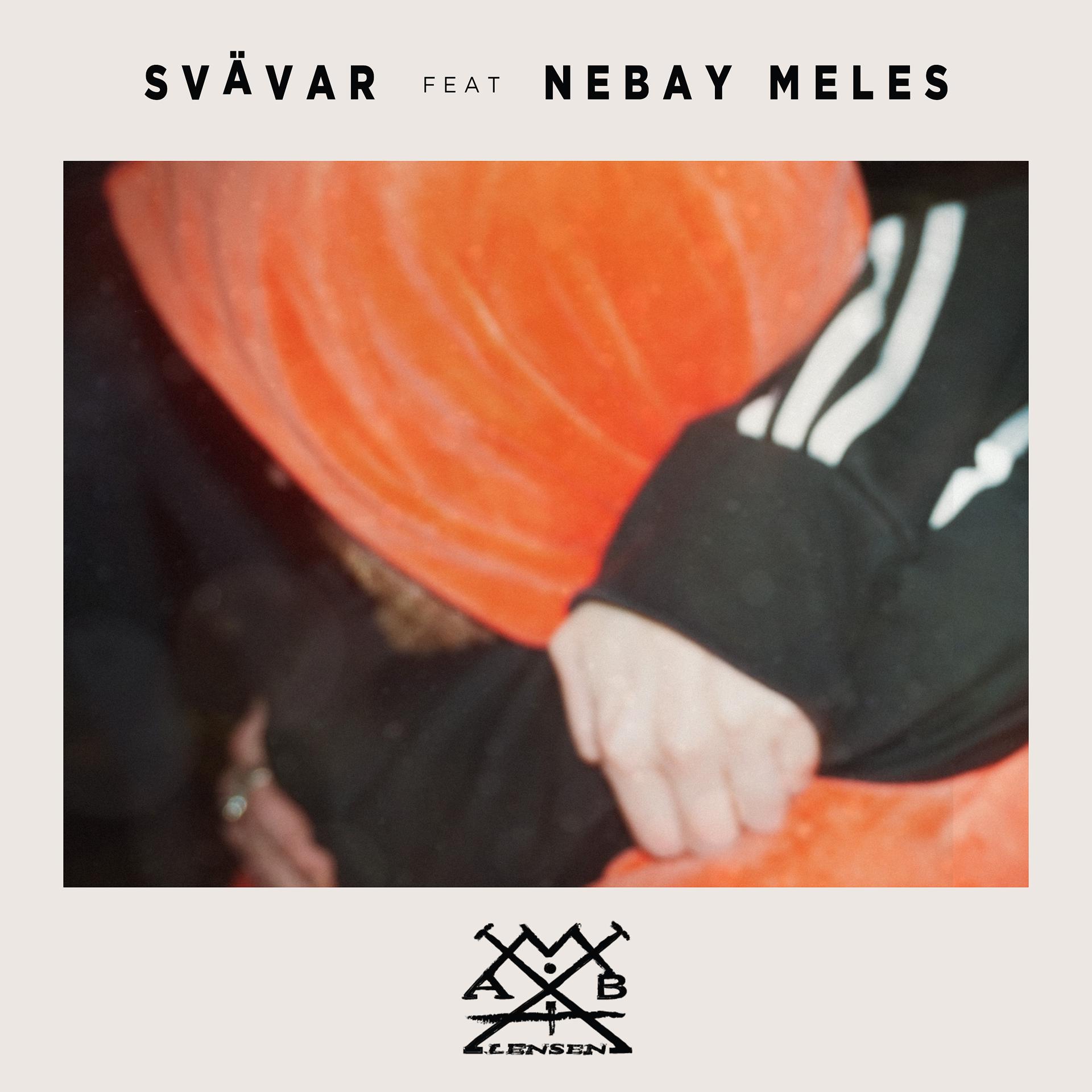 Постер альбома Svävar
