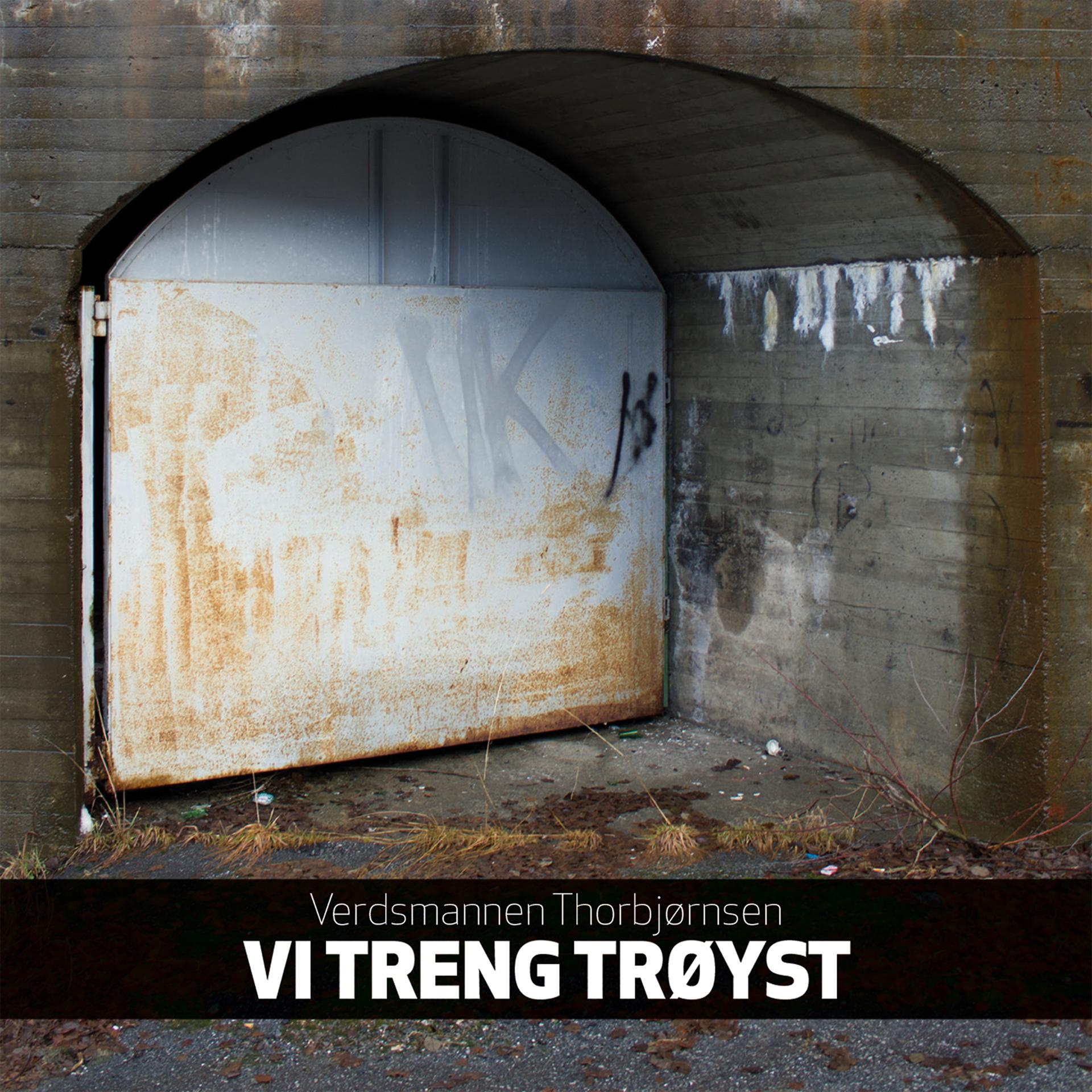 Постер альбома Vi Treng Trøyst