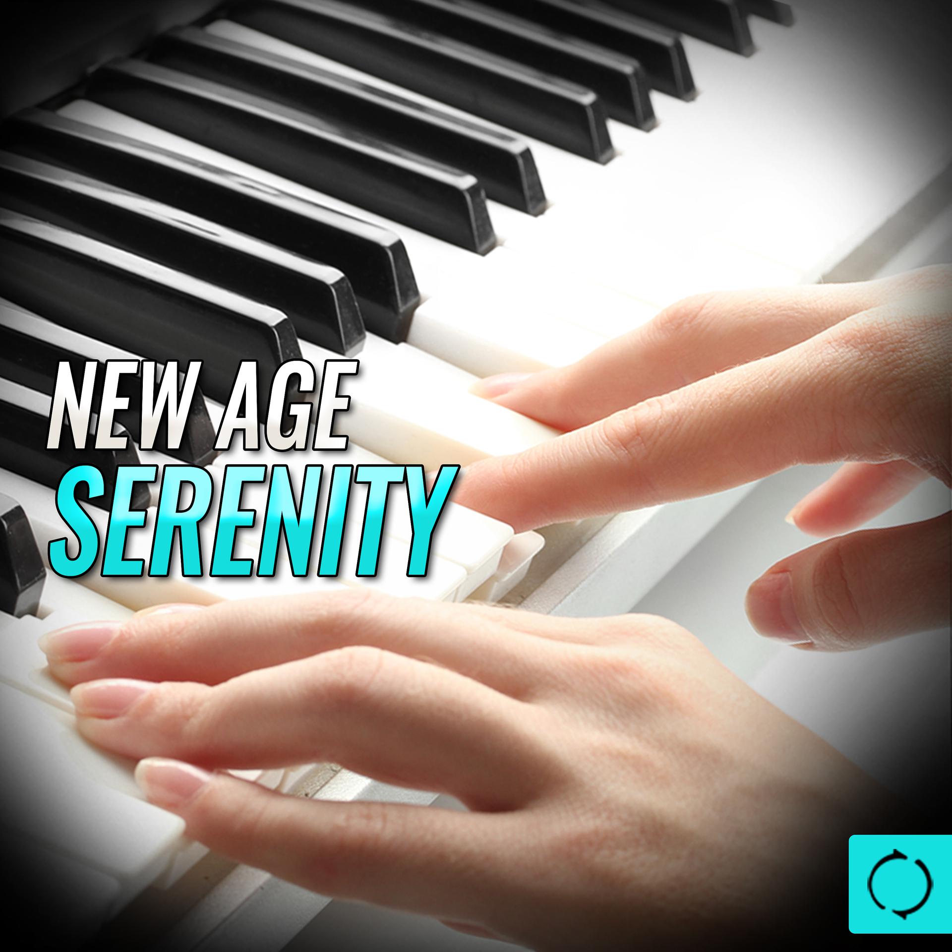 Постер альбома New Age Serenity
