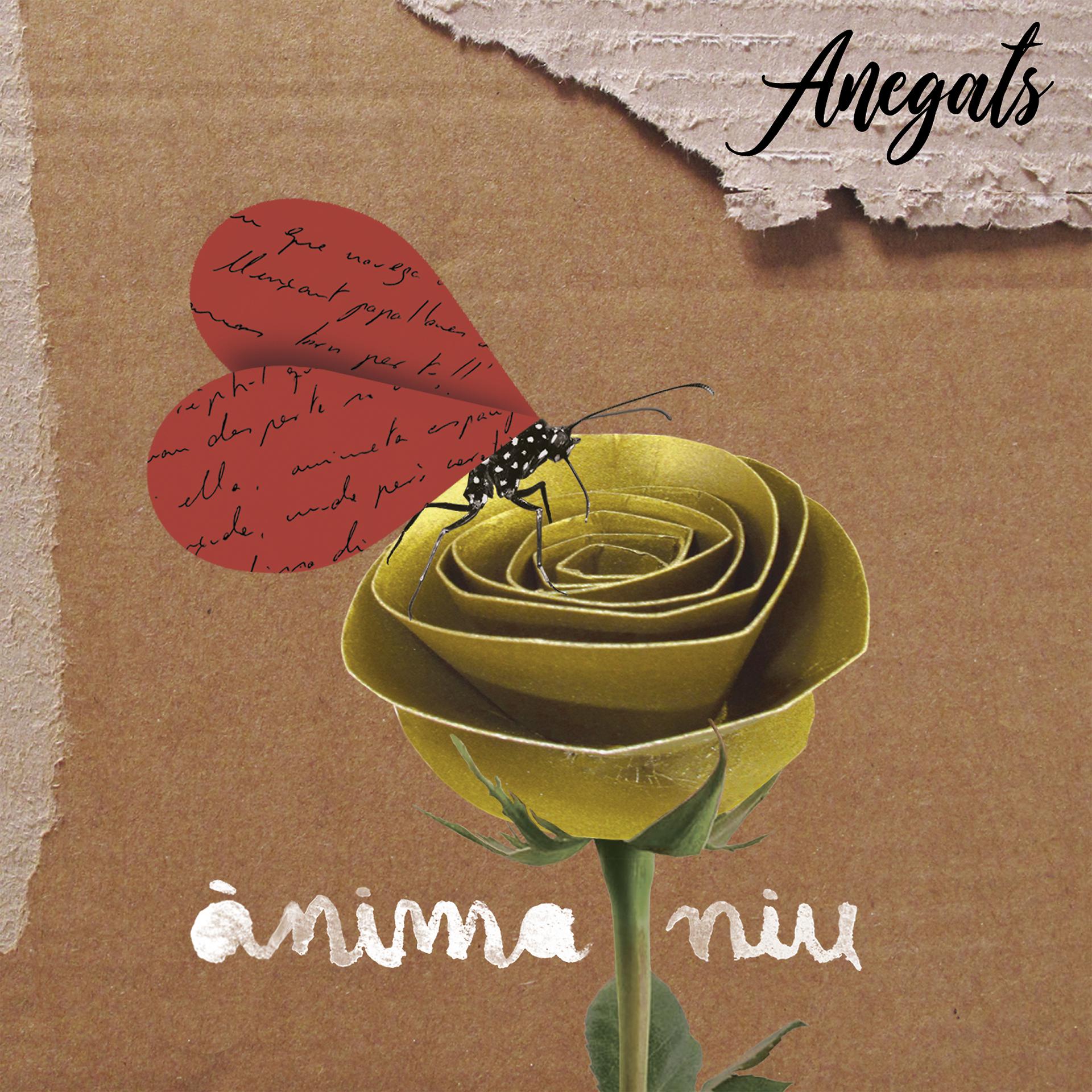 Постер альбома Ànima niu