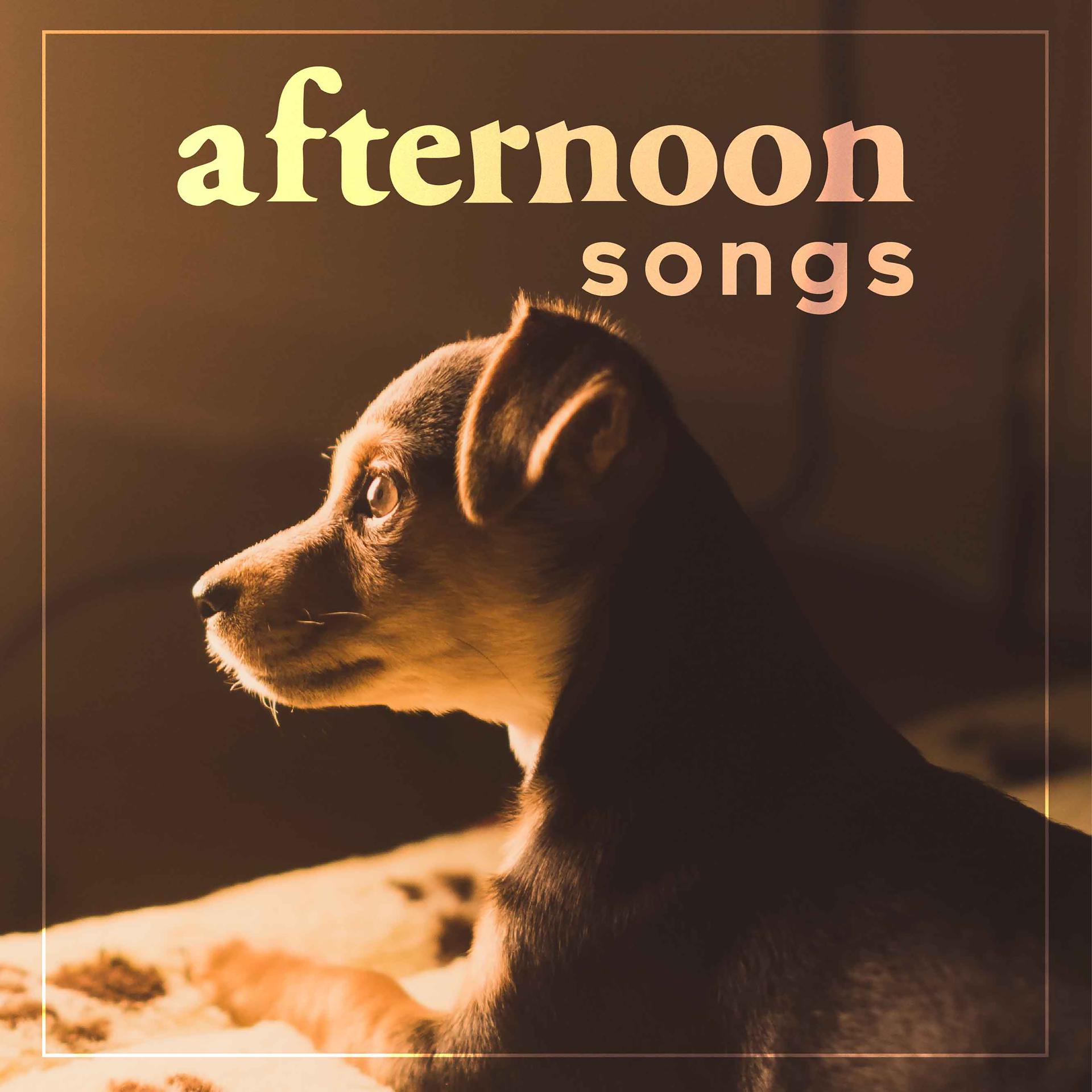 Постер альбома Afternoon Songs