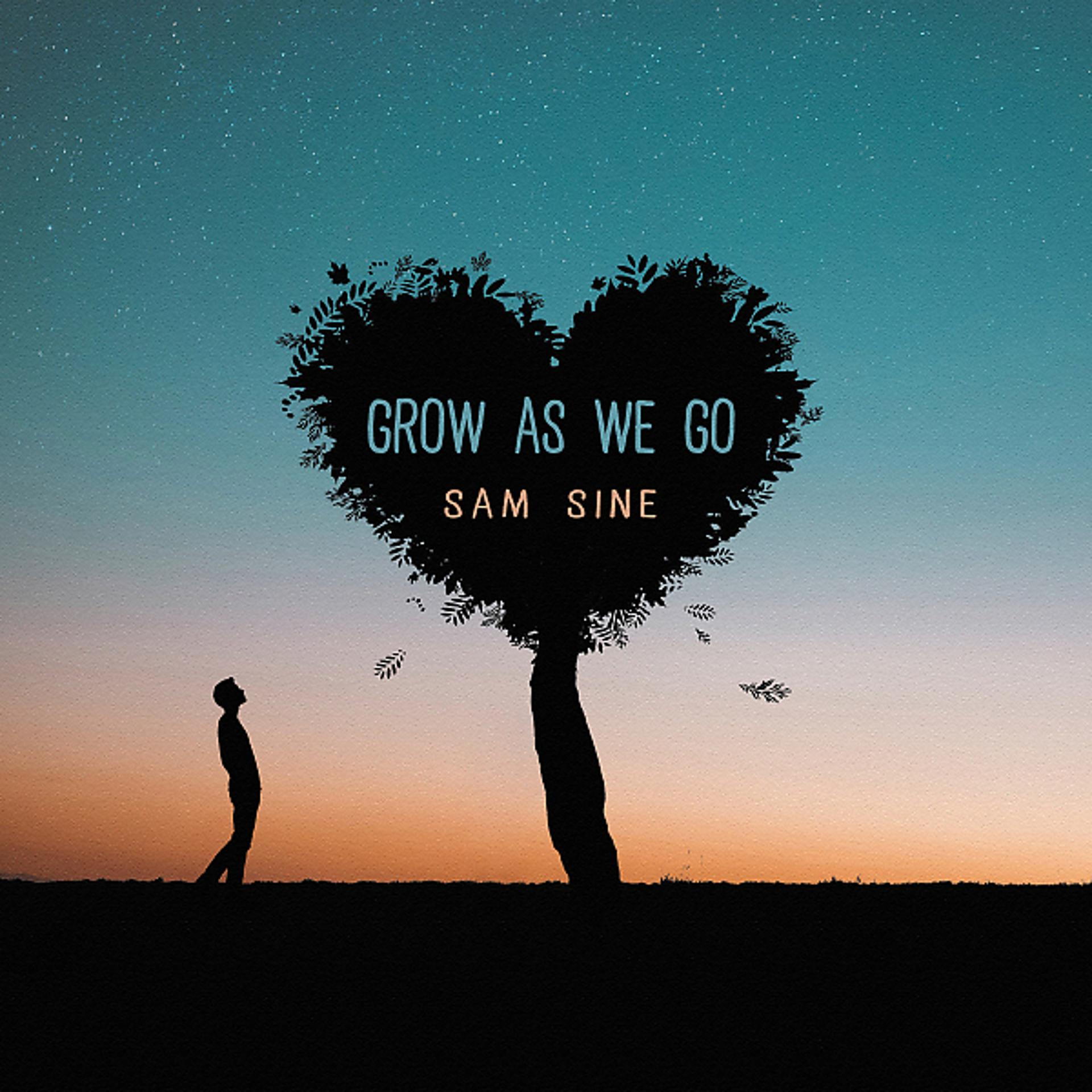 Постер альбома Grow As We Go