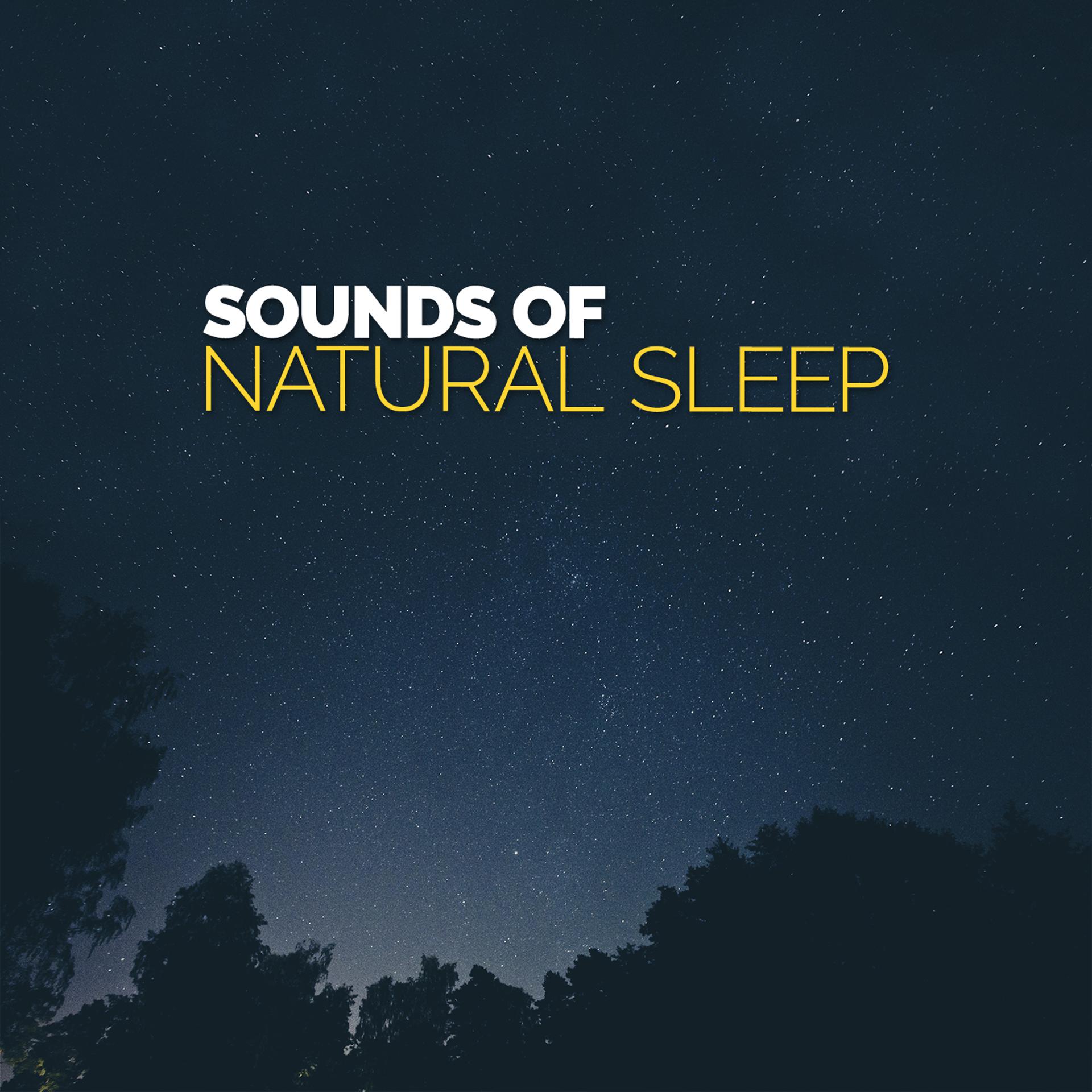 Постер альбома Sounds of Natural Sleep