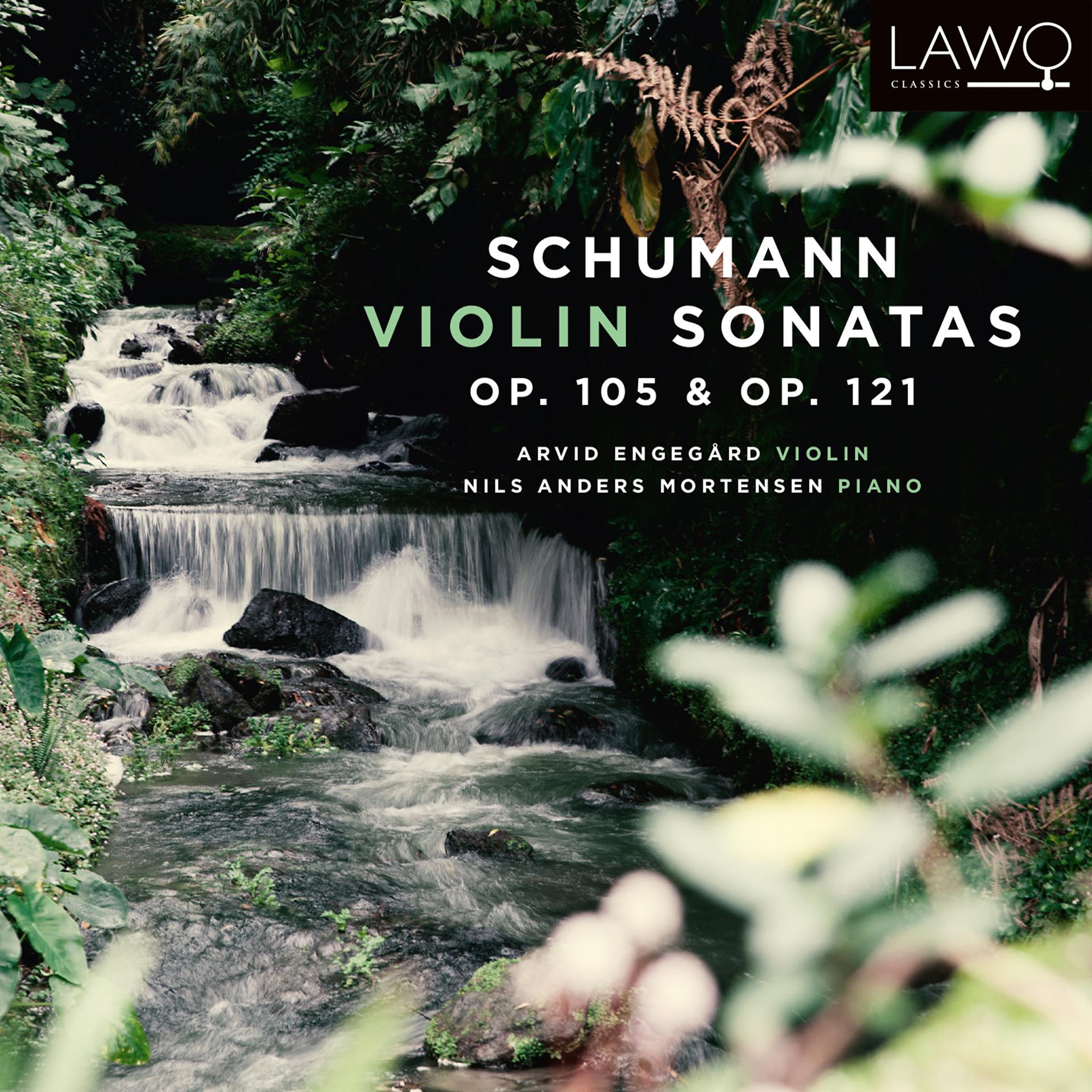 Постер альбома Schumann Violin Sonatas, Op. 105 & Op. 121