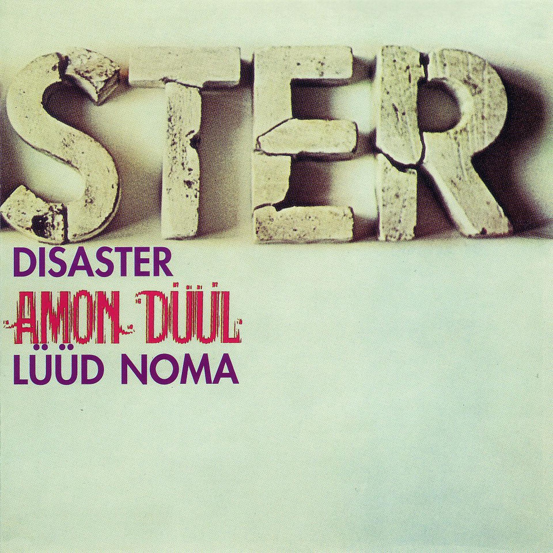 Постер альбома Disaster (Lüüd Noma)