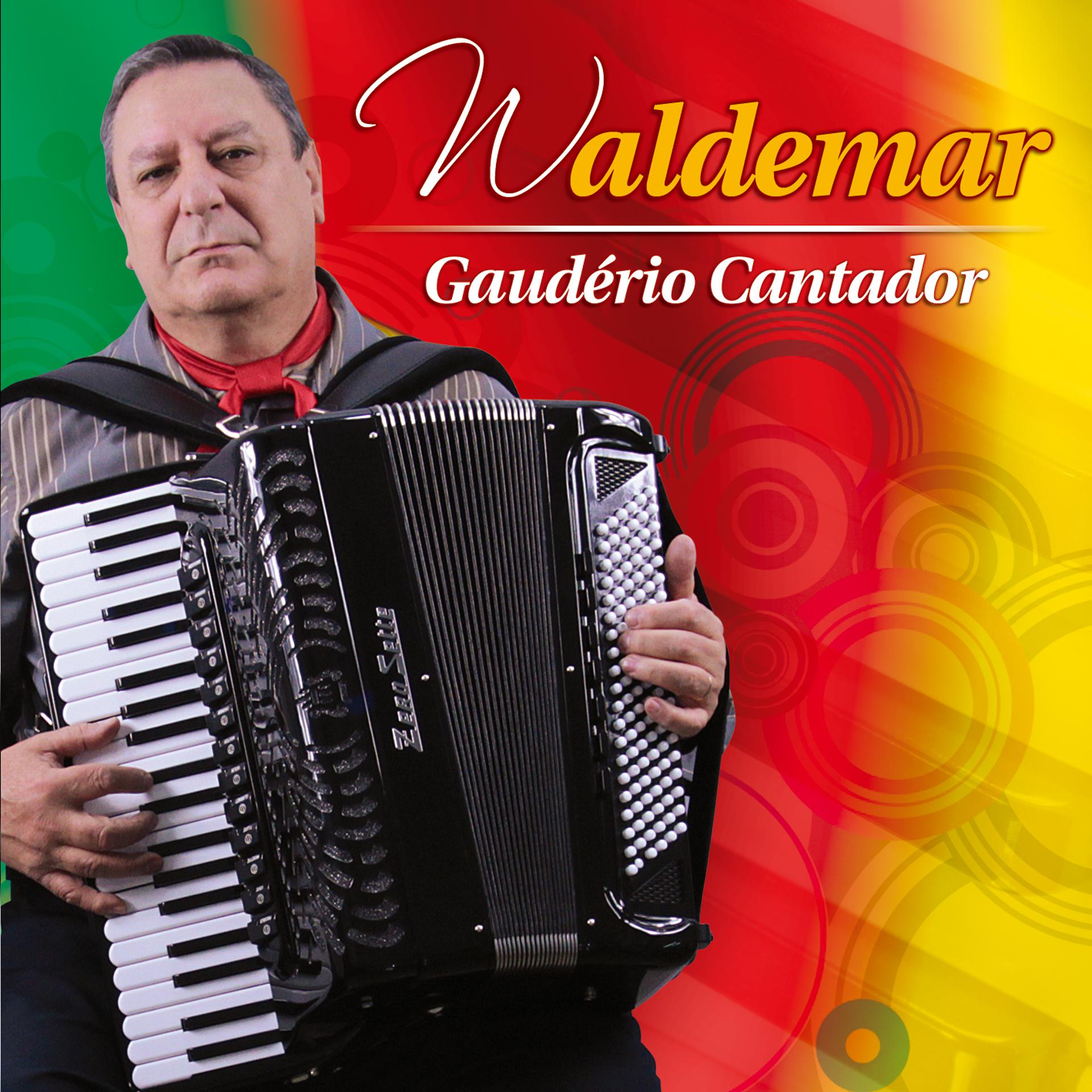 Постер альбома Gaudério Cantador