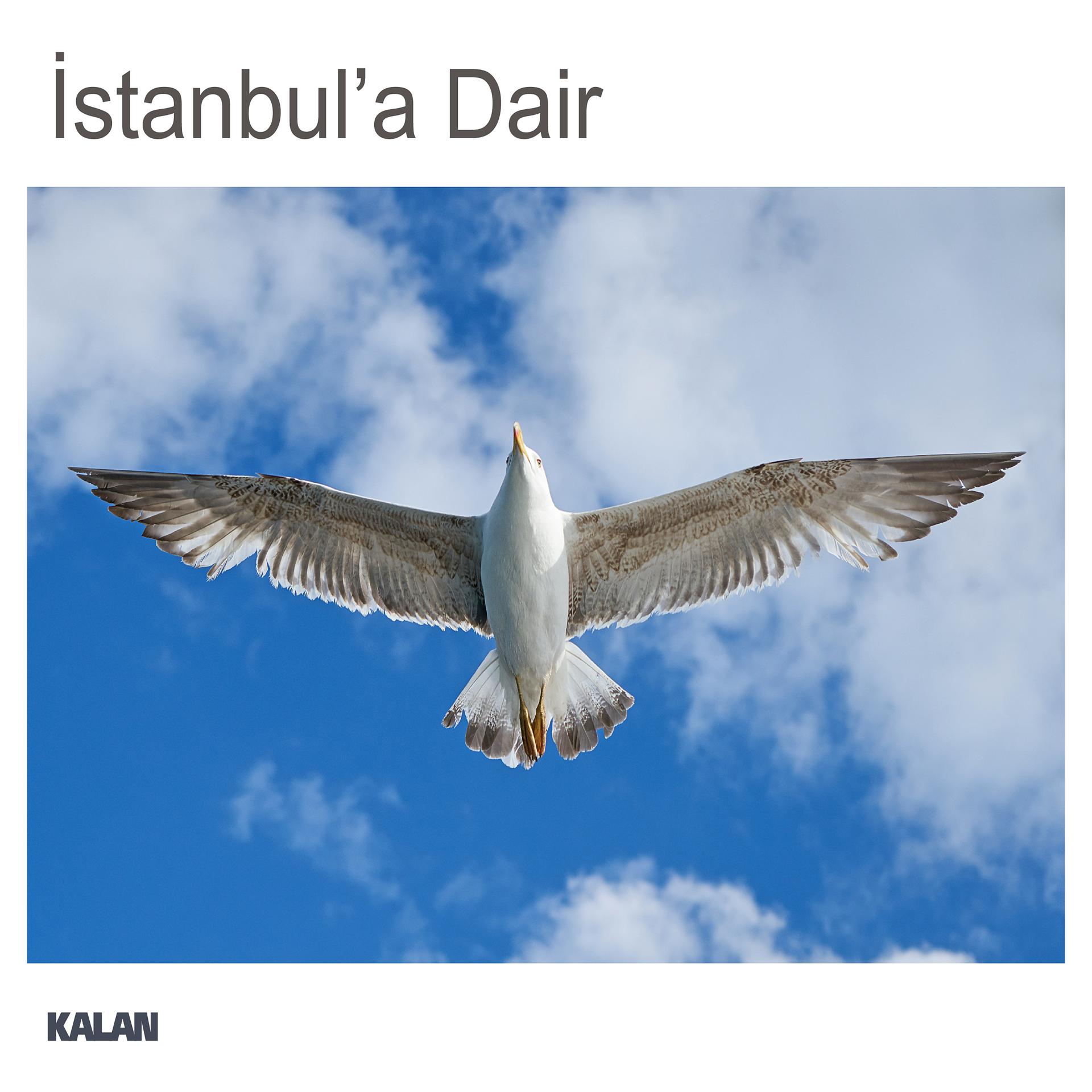Постер альбома İstanbul'a Dair