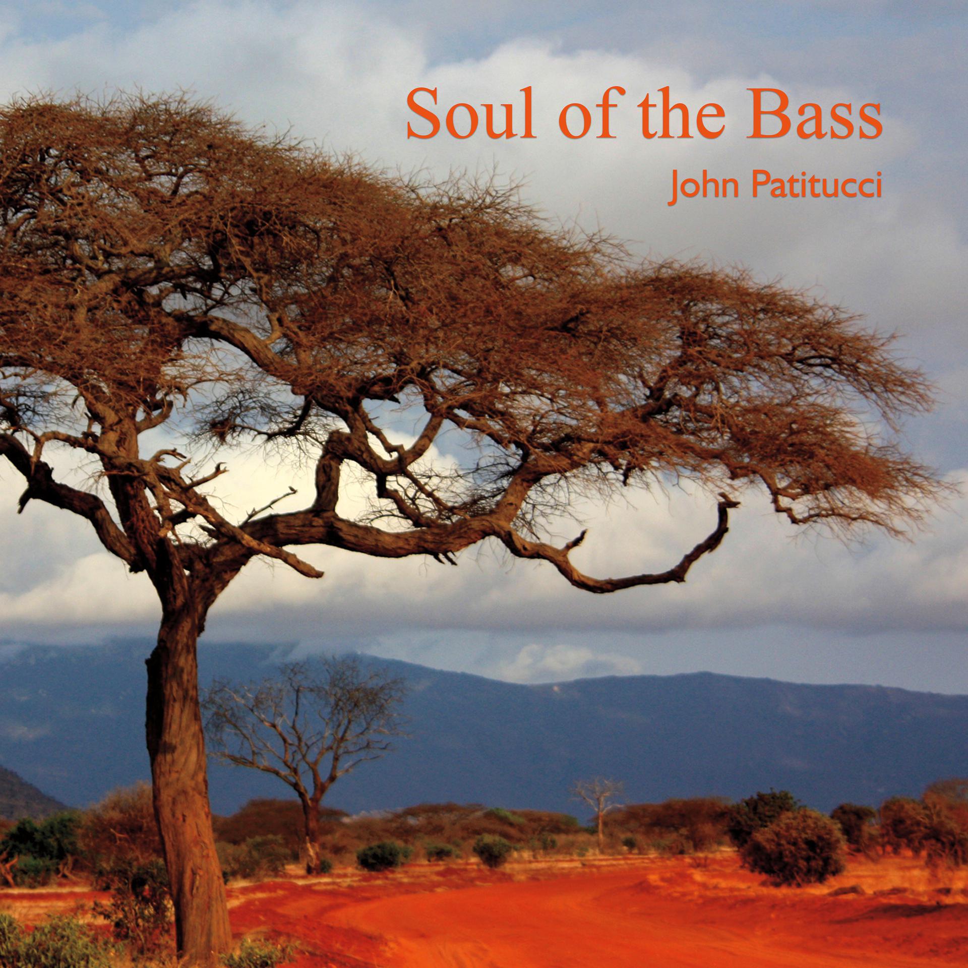 Постер альбома Soul of the Bass