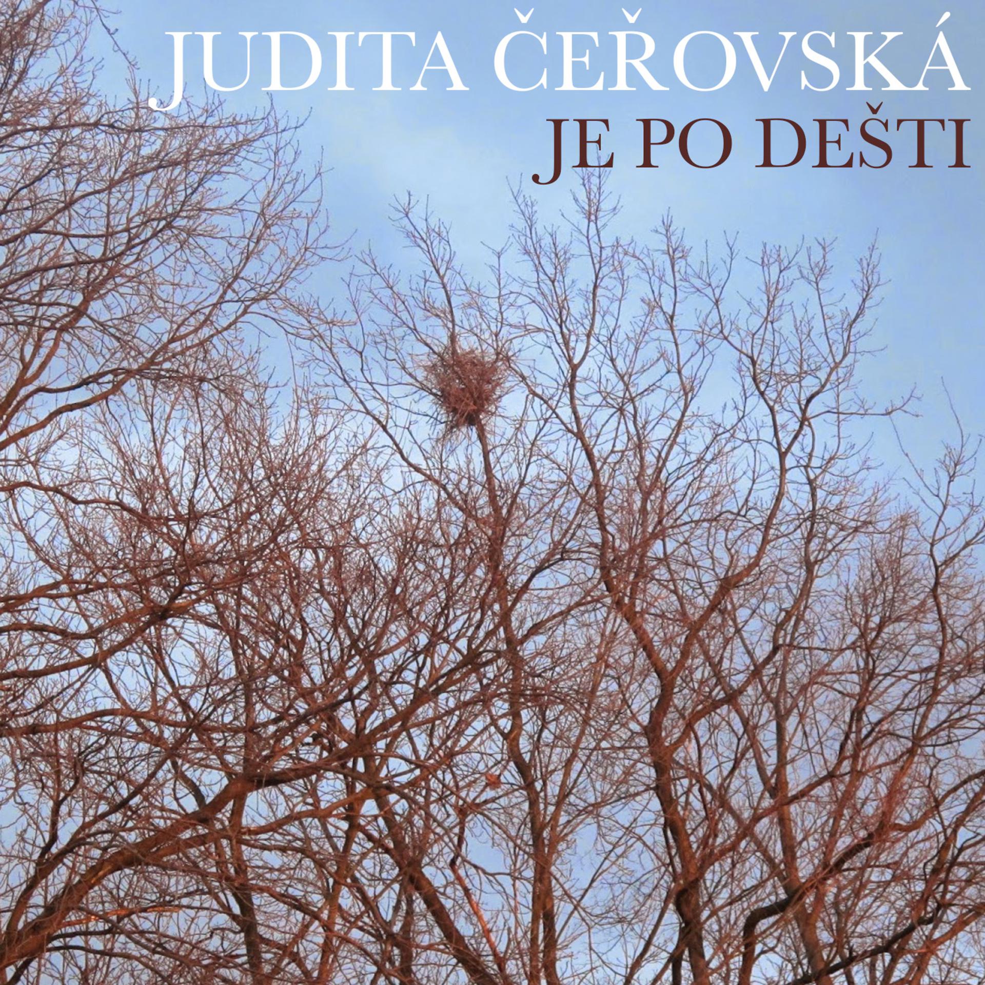 Постер альбома Je Po Dešti
