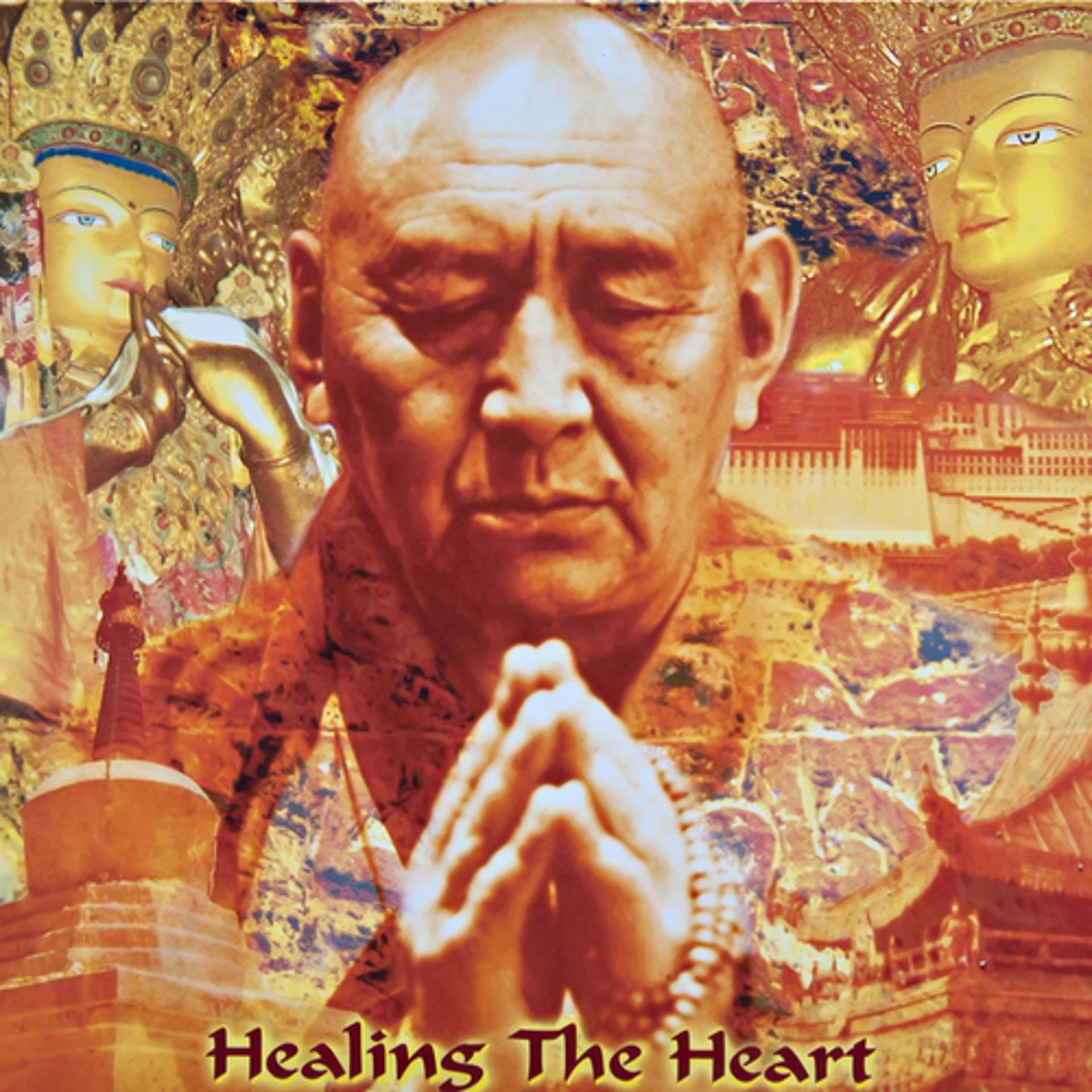 Постер альбома Healing the Heart