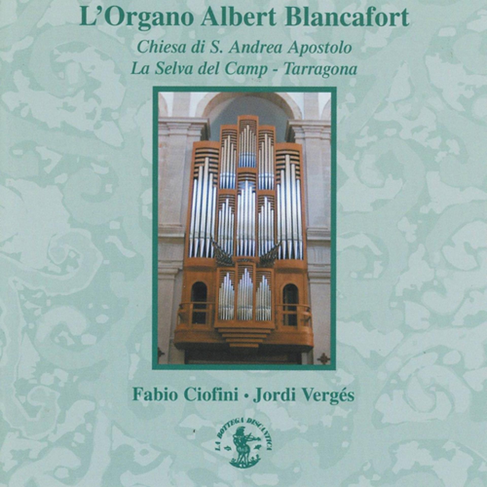 Постер альбома Organo a 4 mani: Organo Albert Blancafort