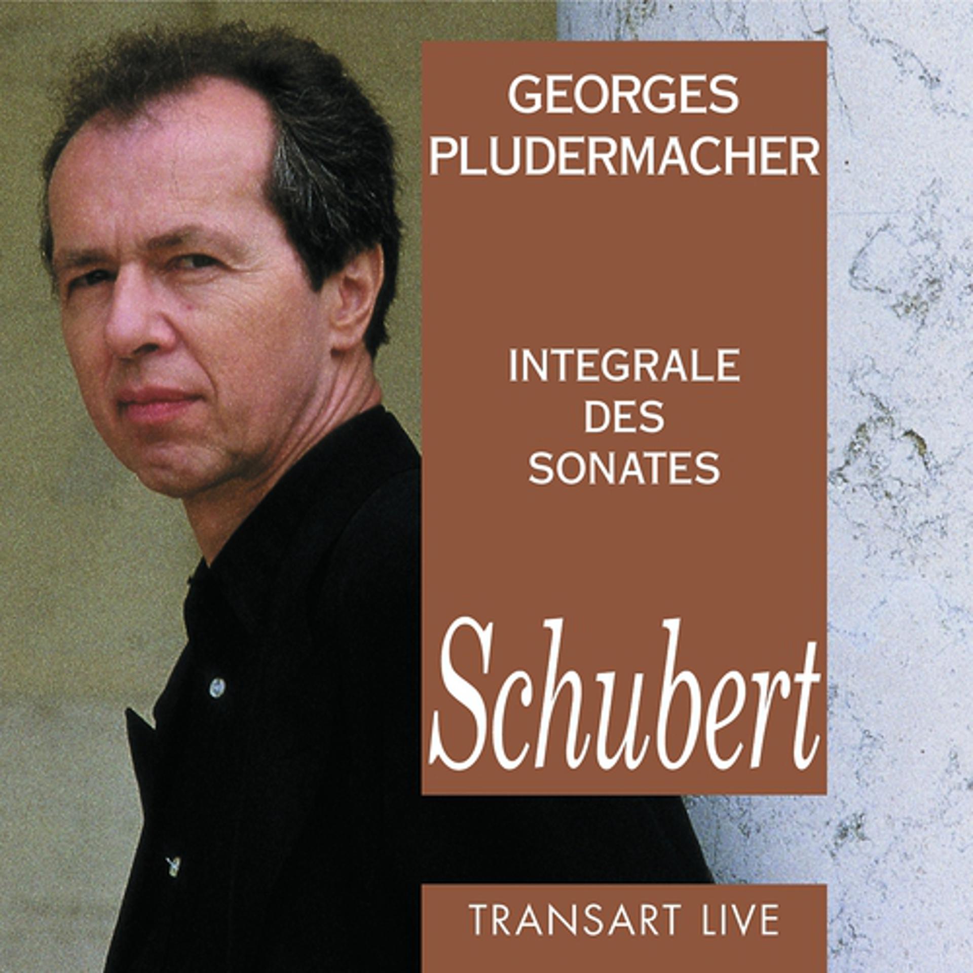 Постер альбома Schubert : Intégrale des sonates pour piano - Complete piano Sonatas