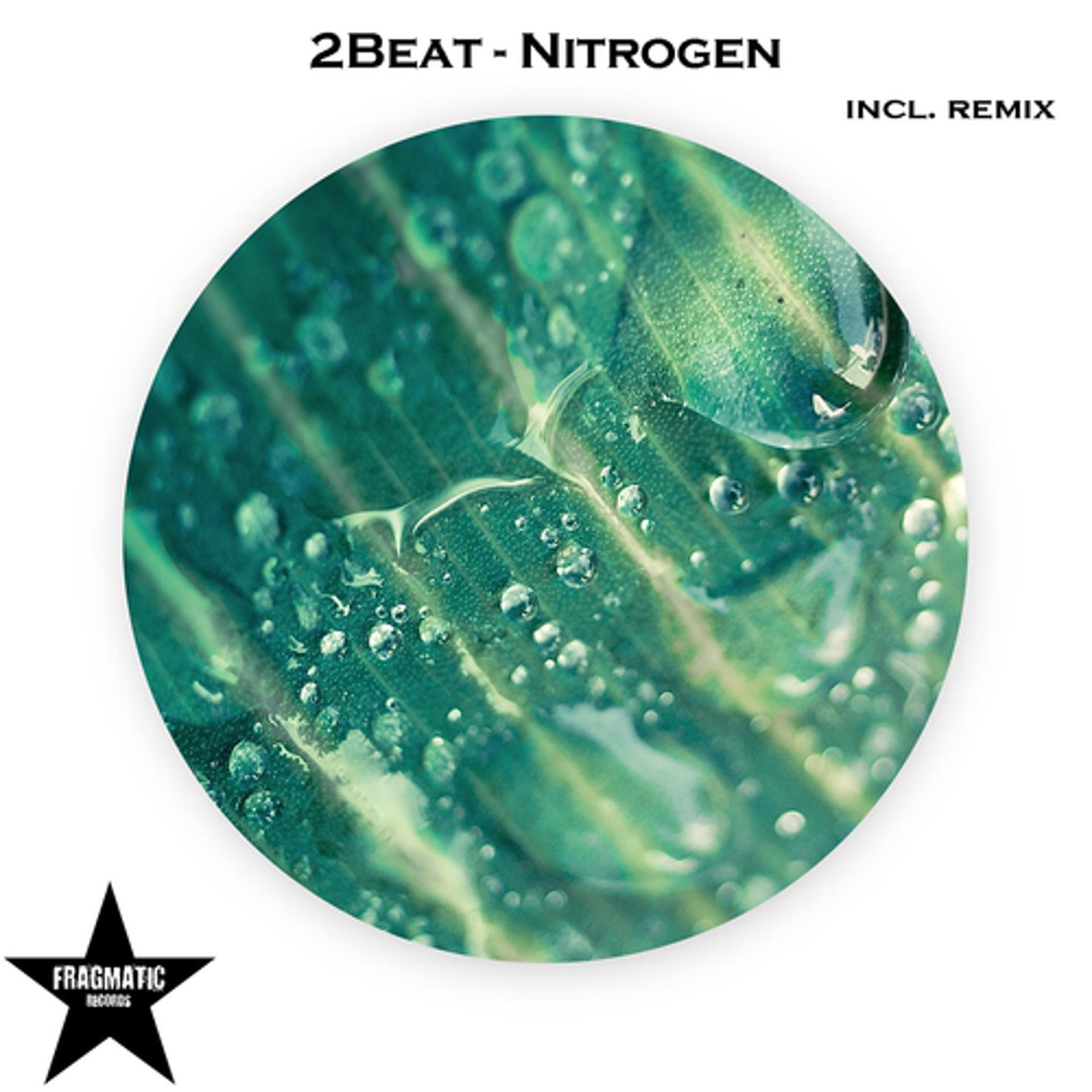 Постер альбома Nitrogen