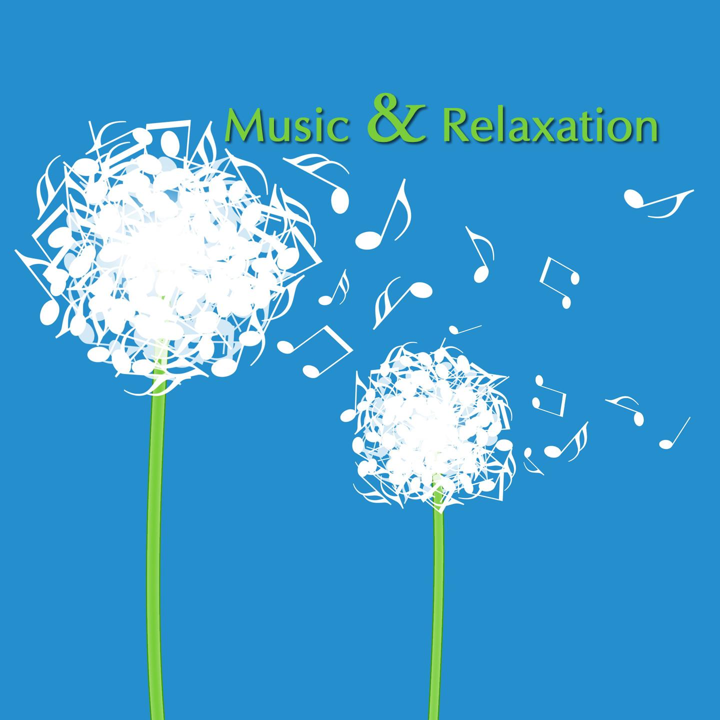 Постер альбома Music & Relaxation