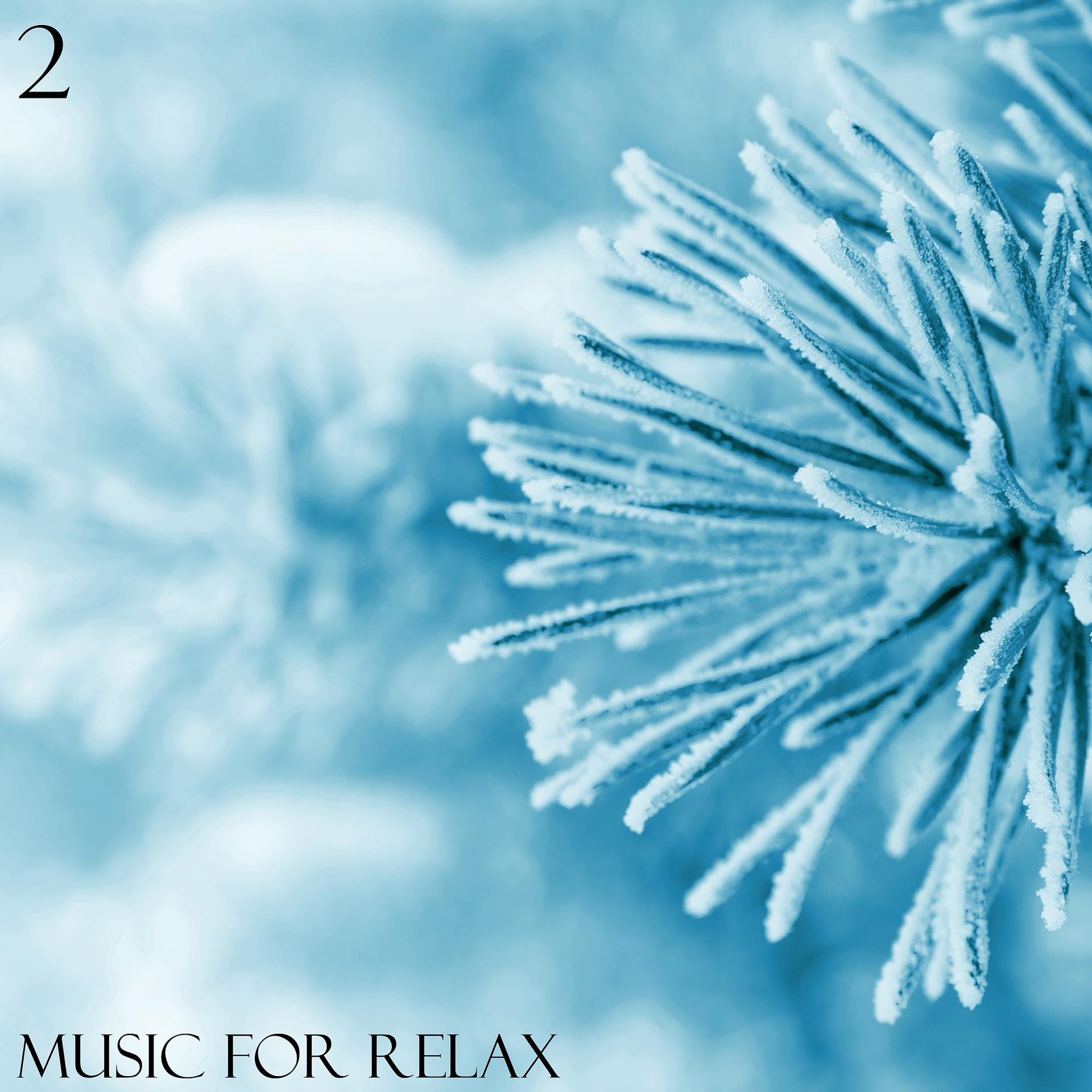 Постер альбома Music for Relax, Vol. 2