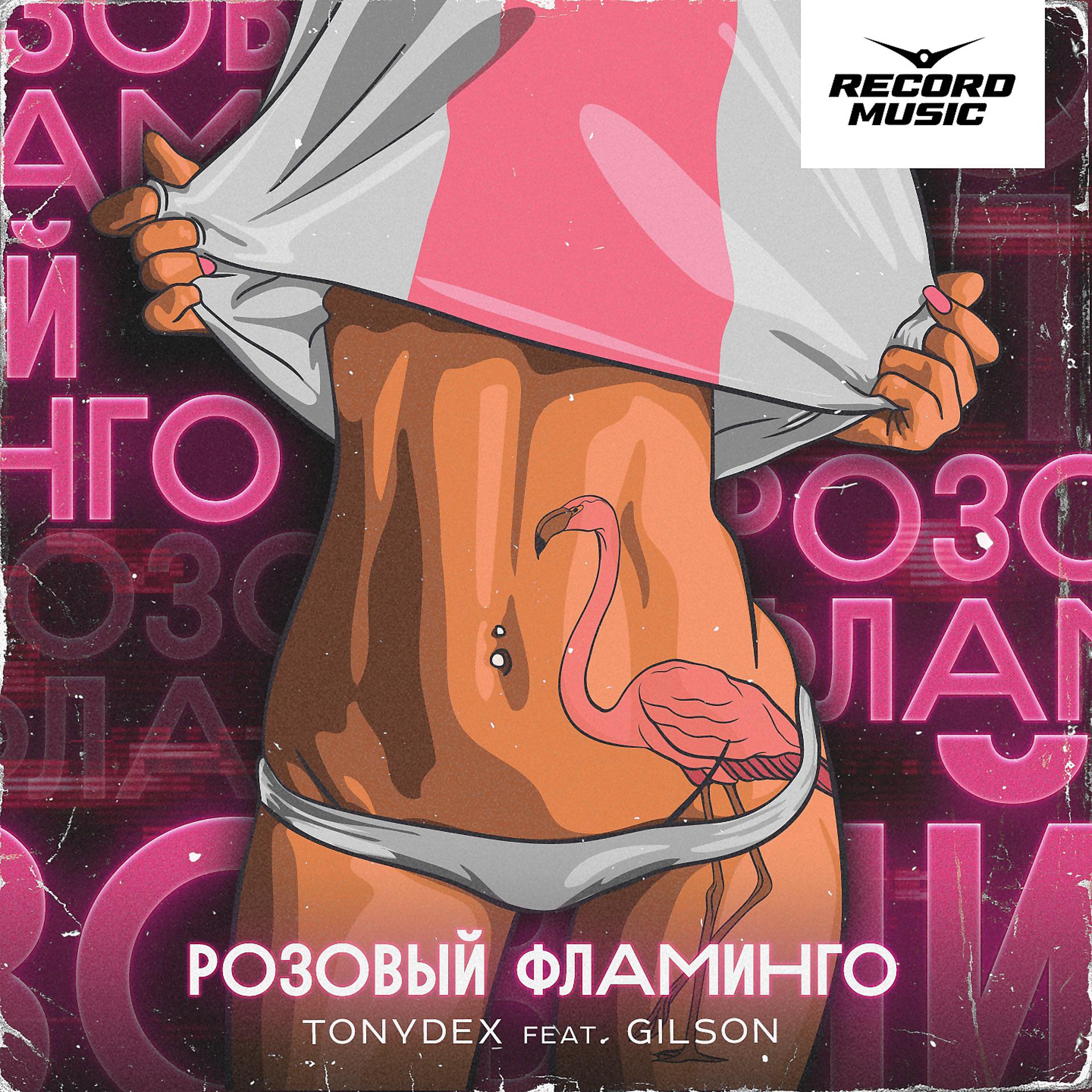 Постер альбома Розовый фламинго