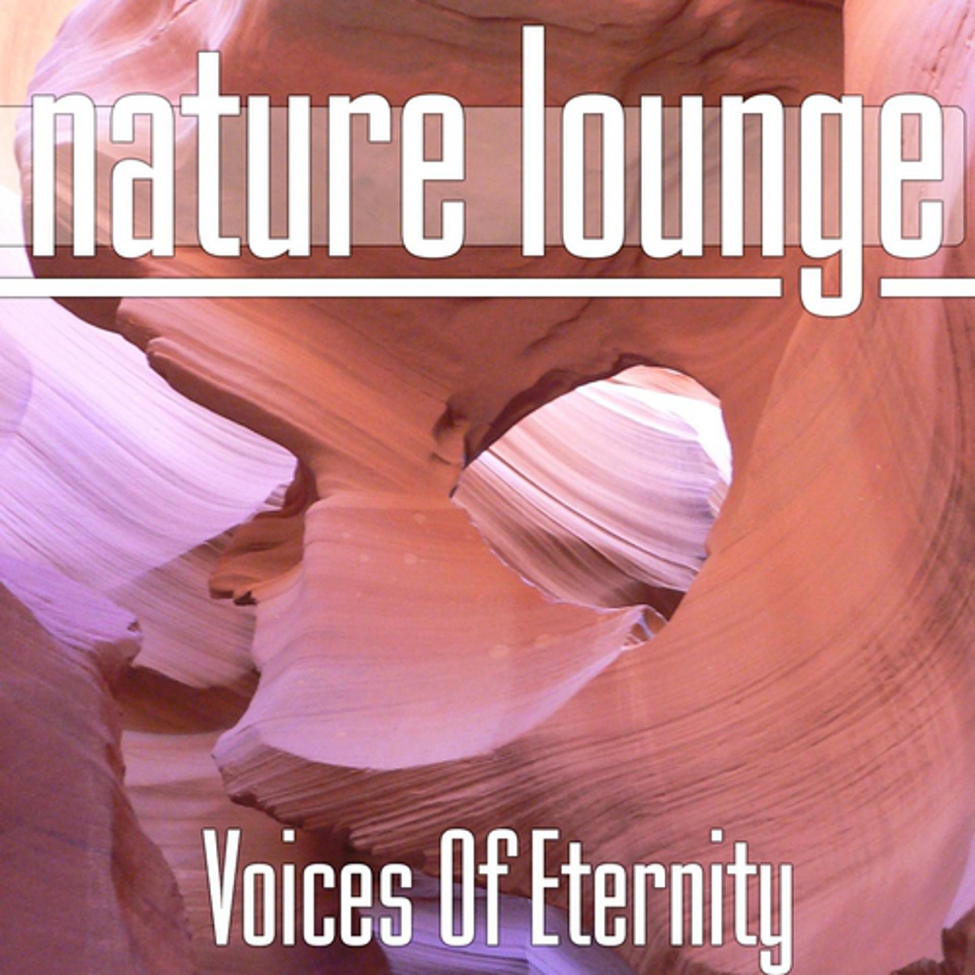 Постер альбома Voices Of Eternity